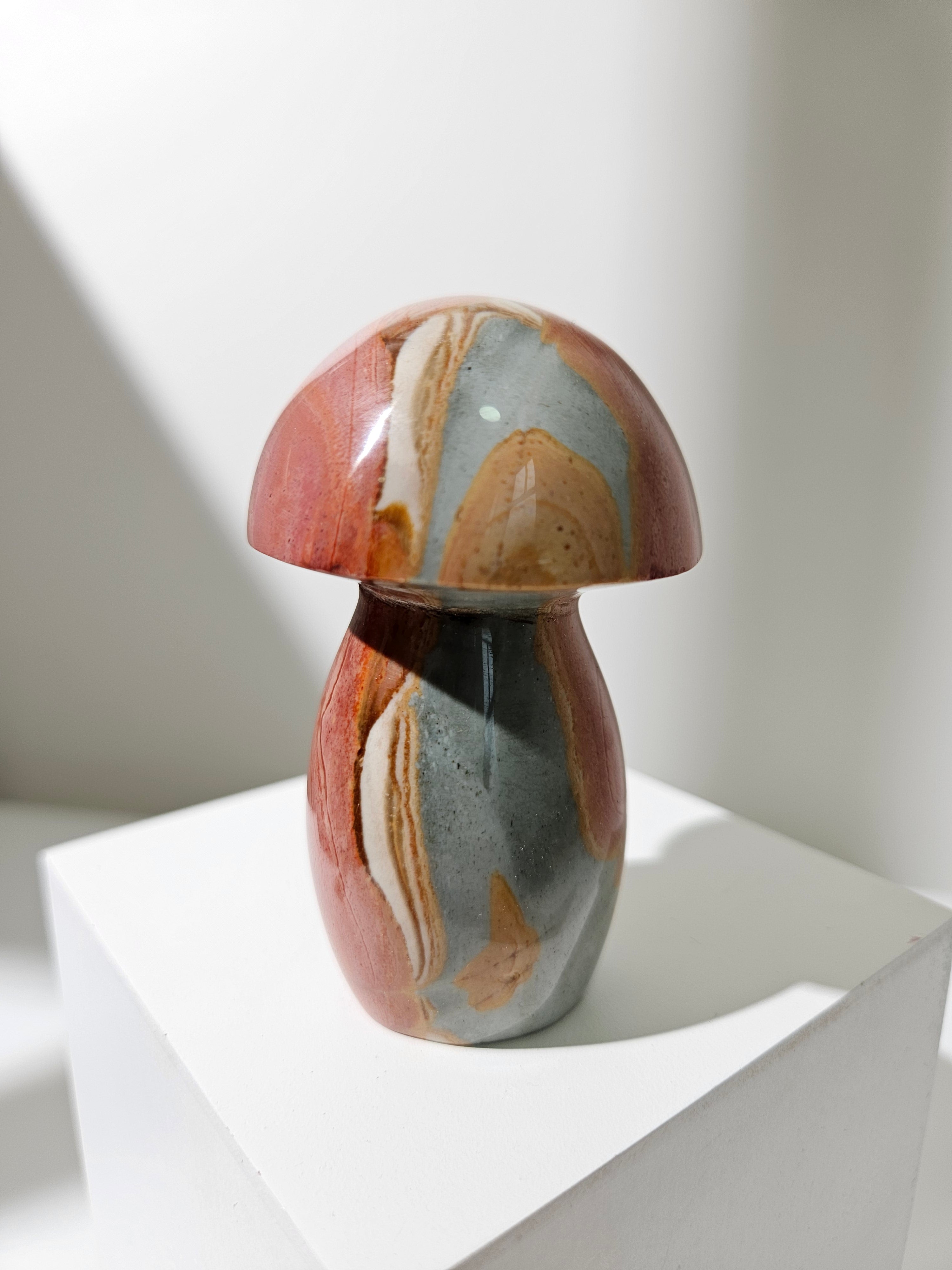 Polychrome Jasper Mushroom 001