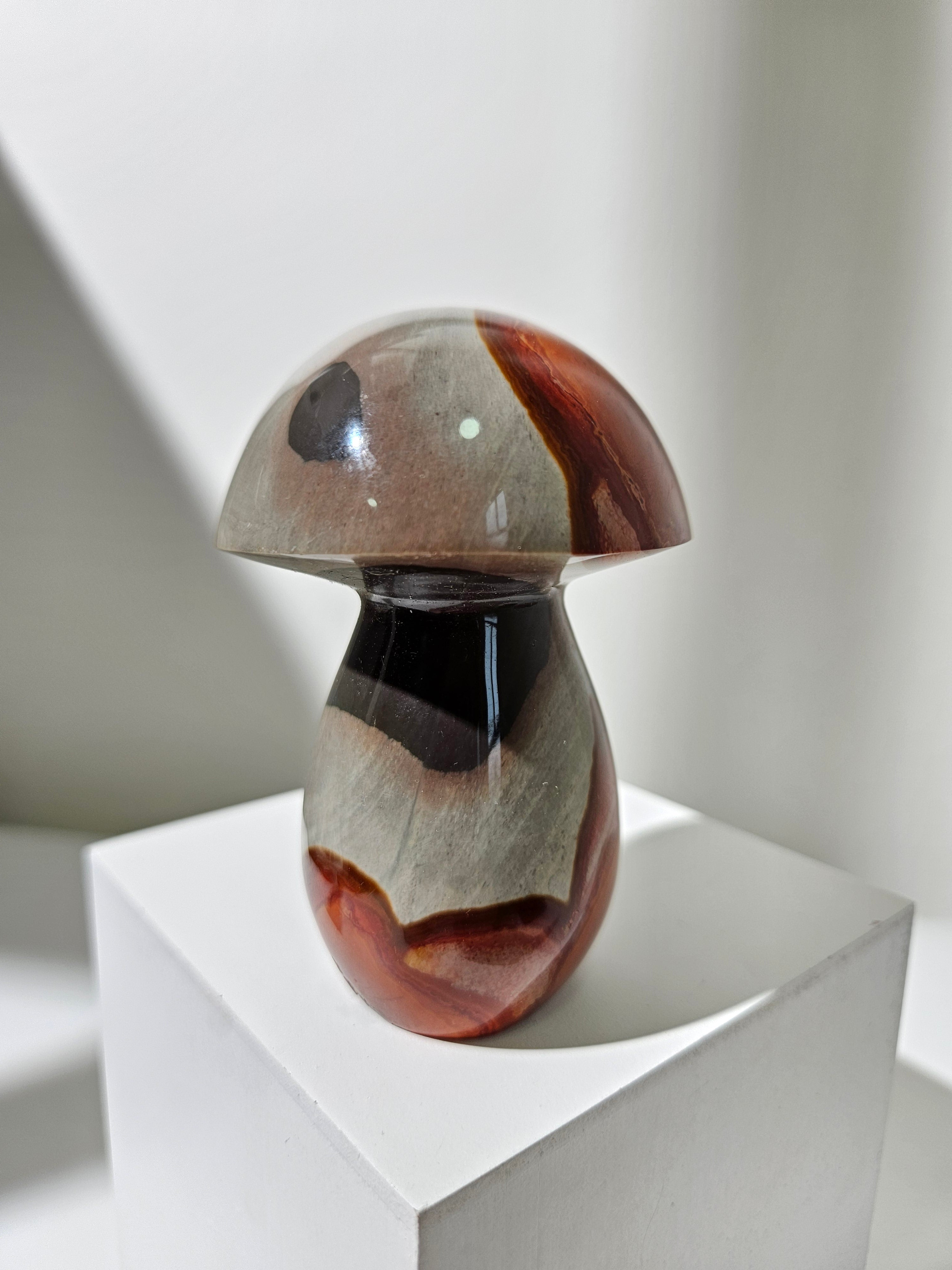 Polychrome Jasper Mushroom 002