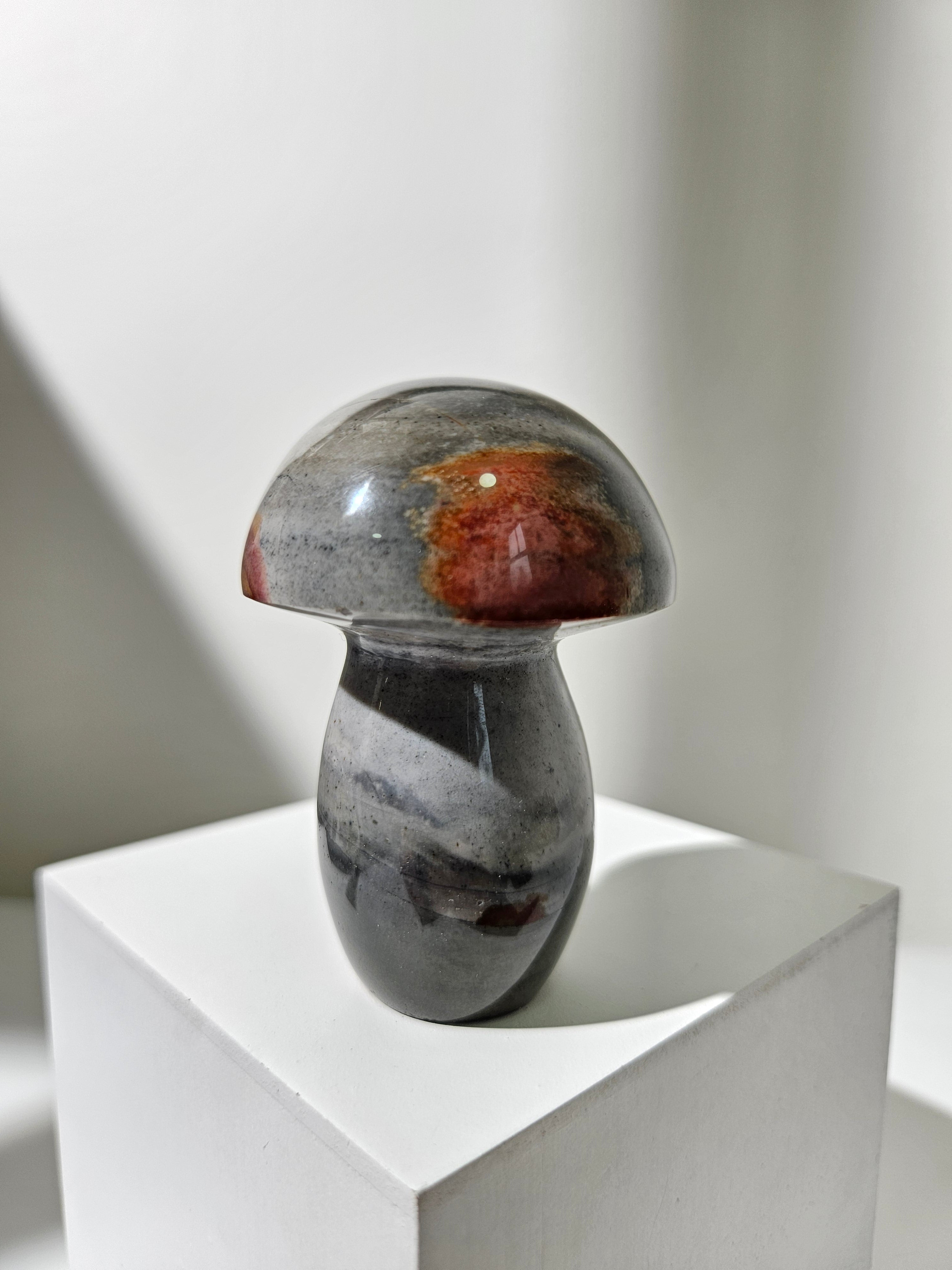 Polychrome Jasper Mushroom 003