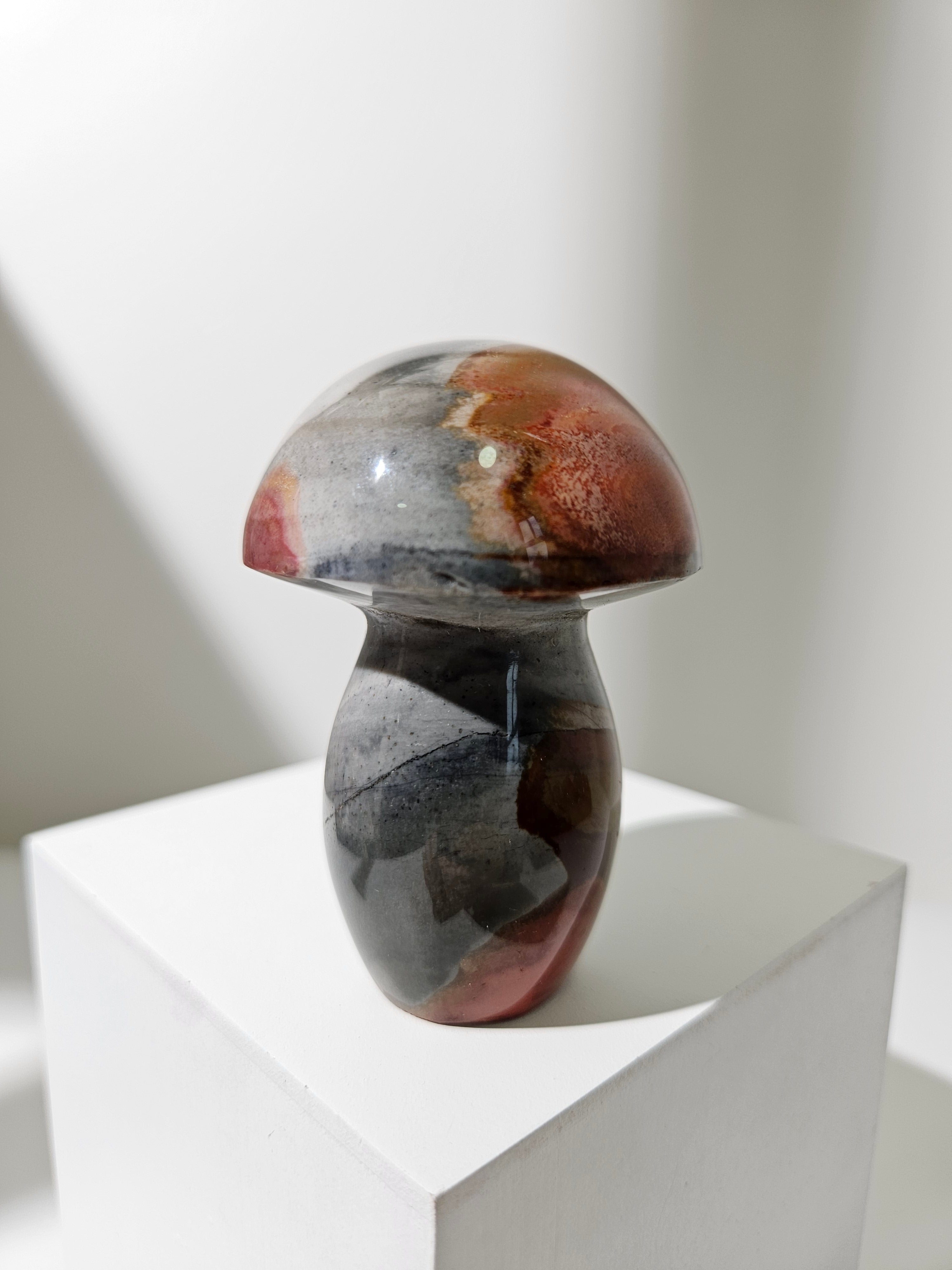 Polychrome Jasper Mushroom 003