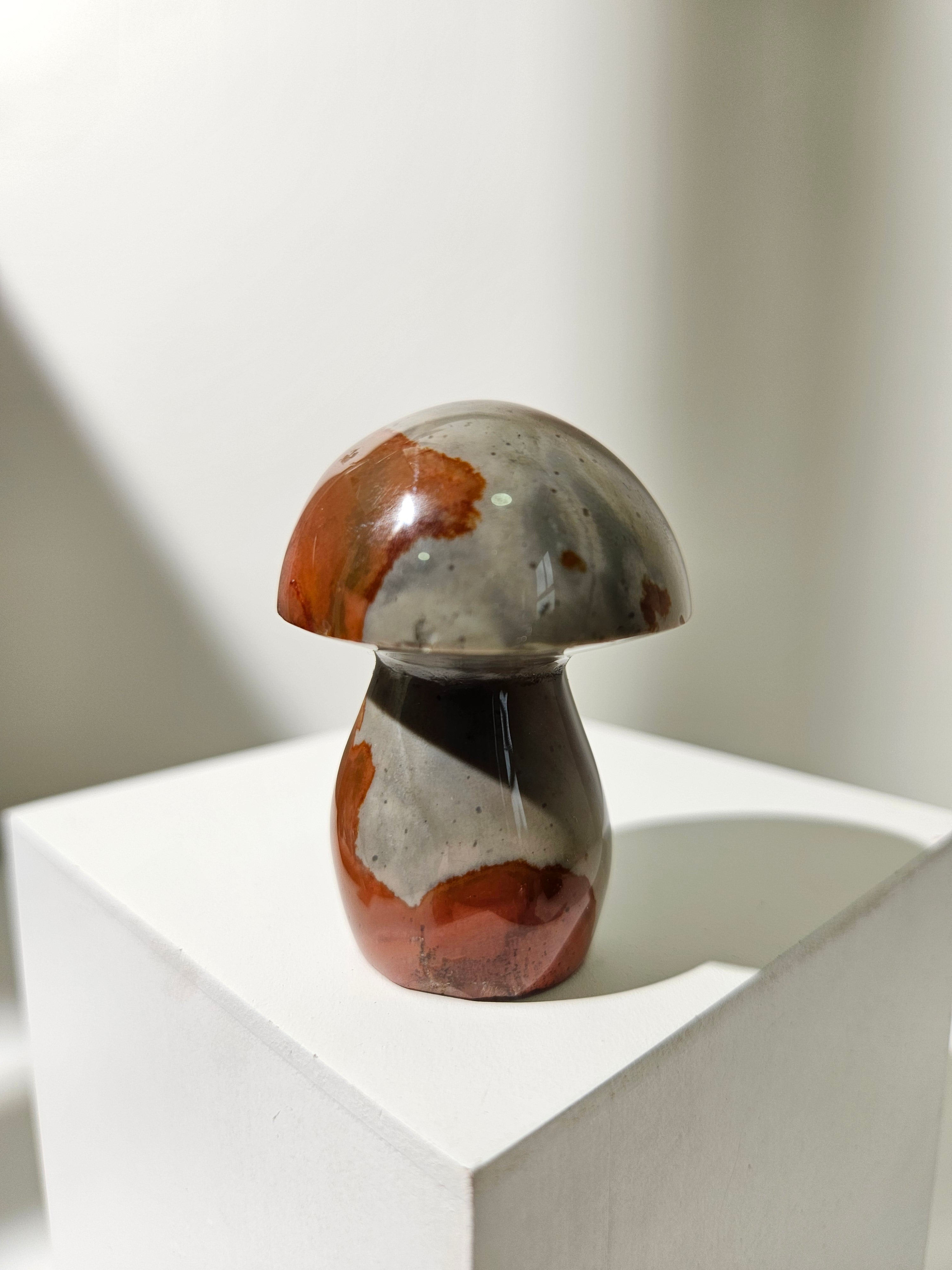 Polychrome Jasper Mushroom 004