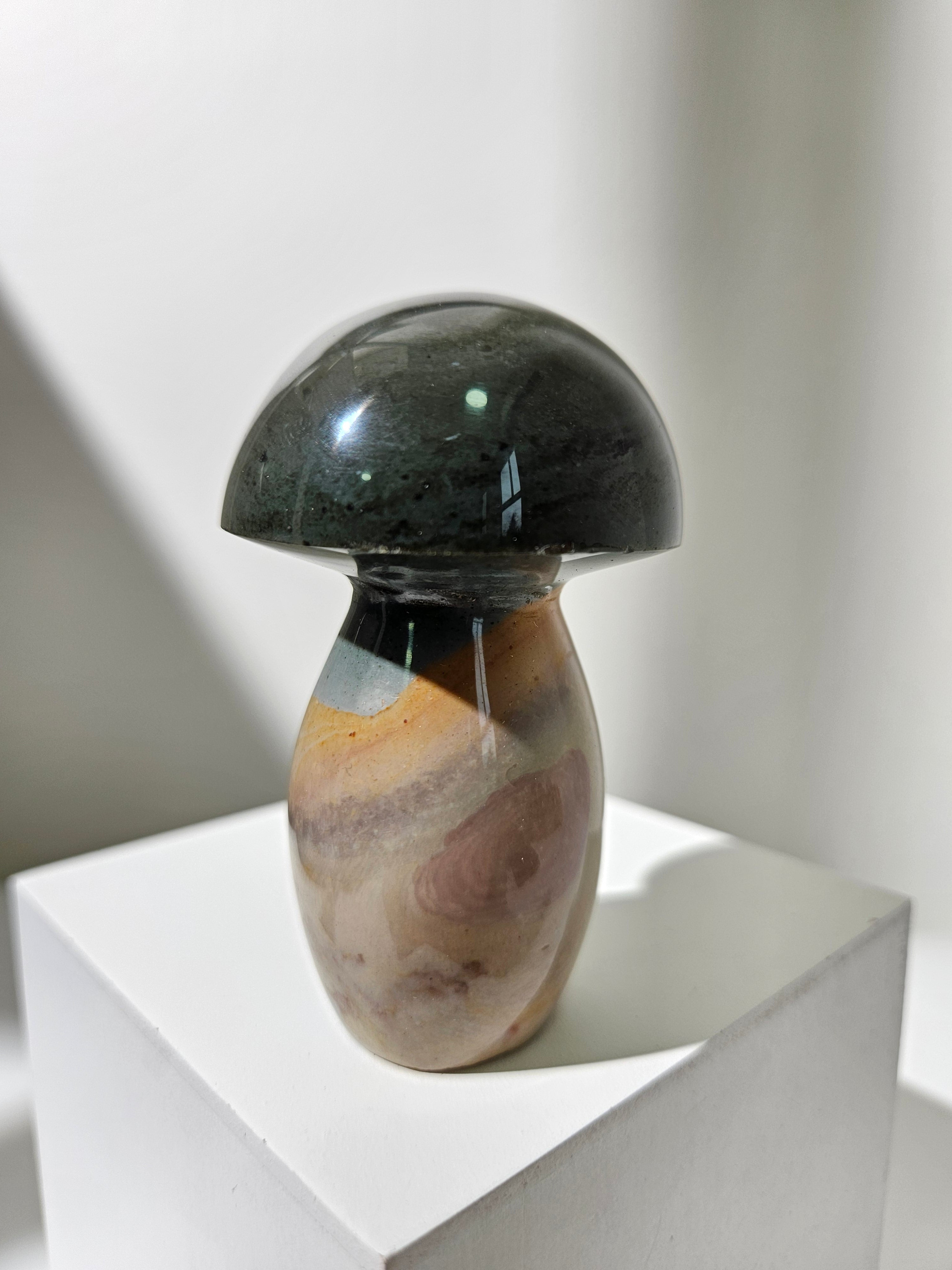 Polychrome Jasper Mushroom 005