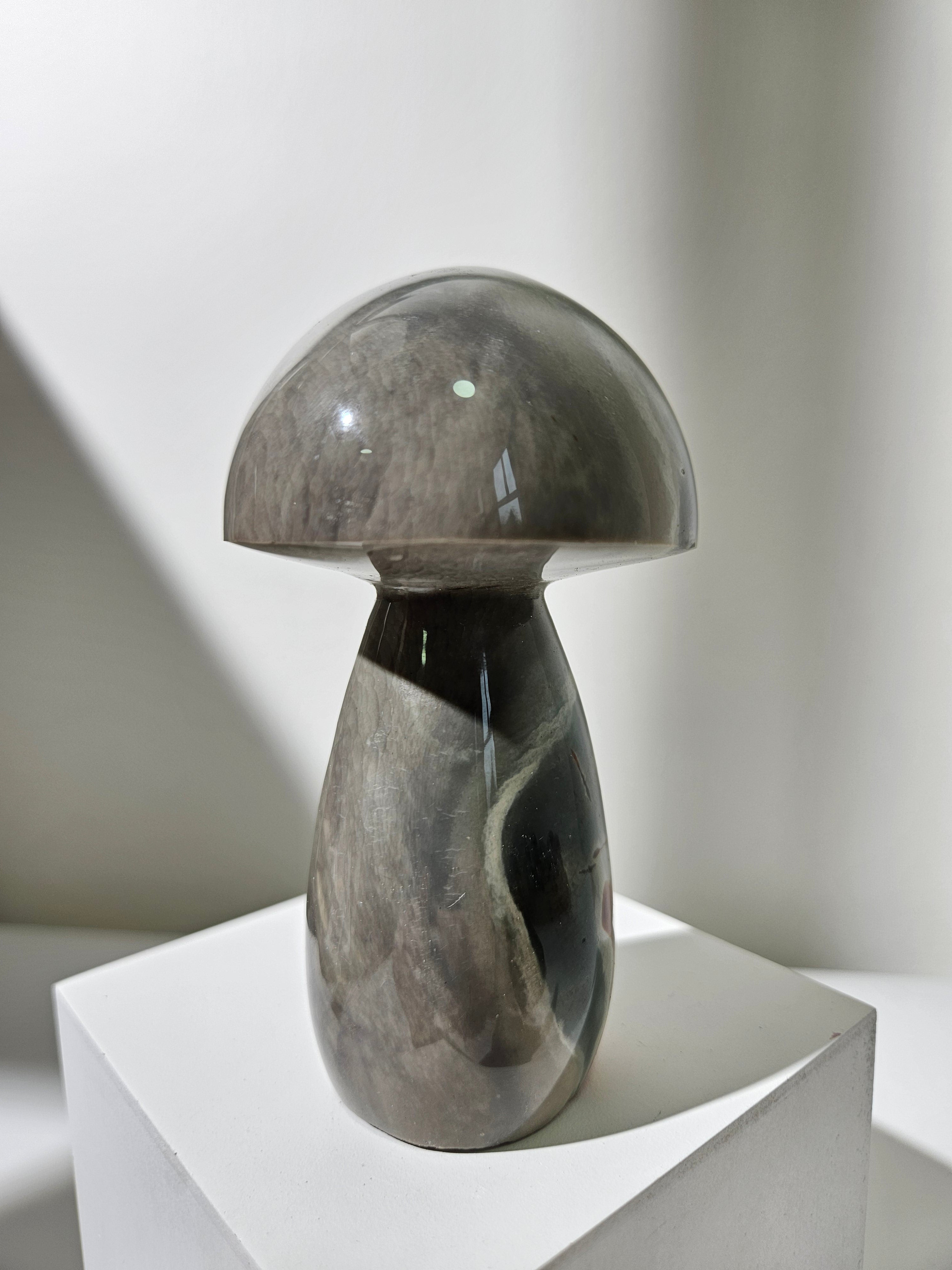 Polychrome Jasper Mushroom 006