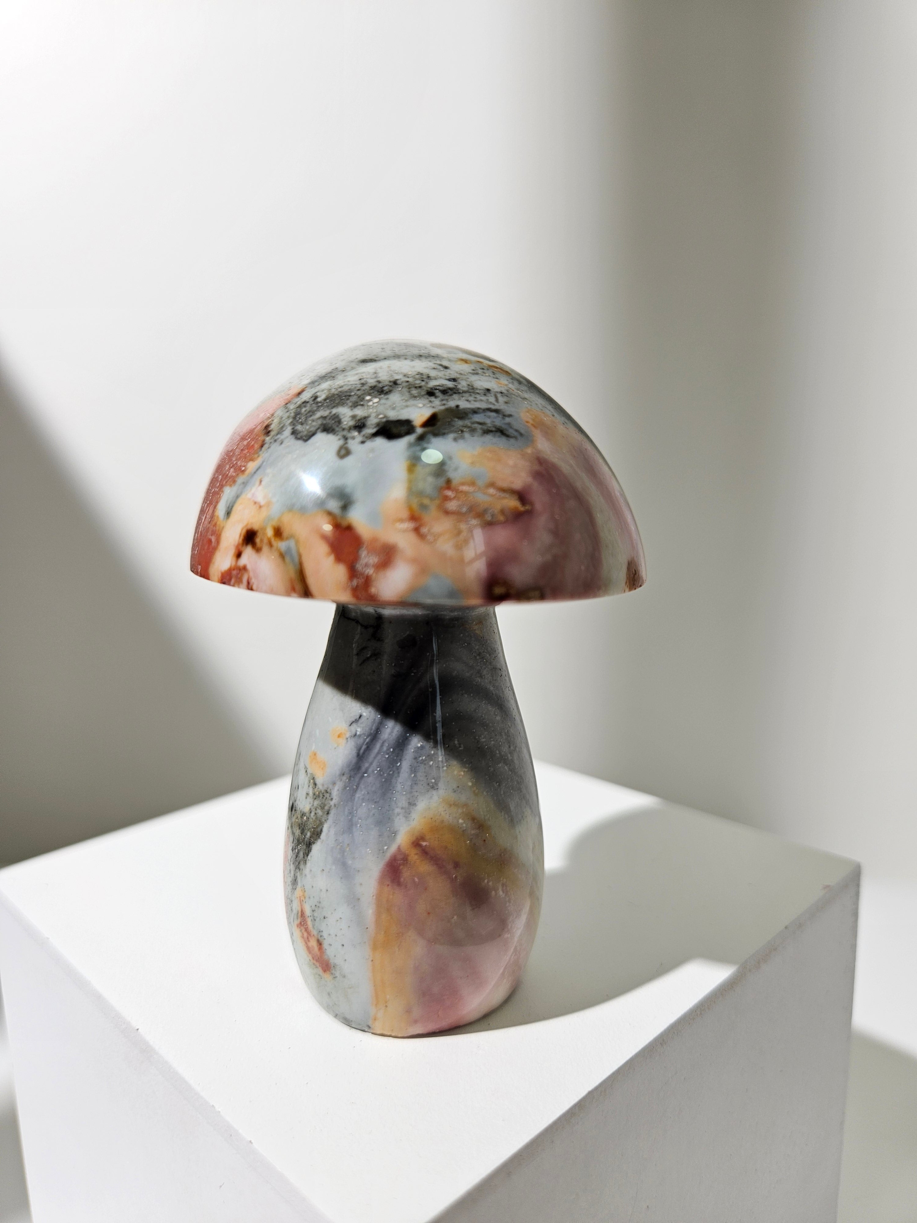 Polychrome Jasper Mushroom 007