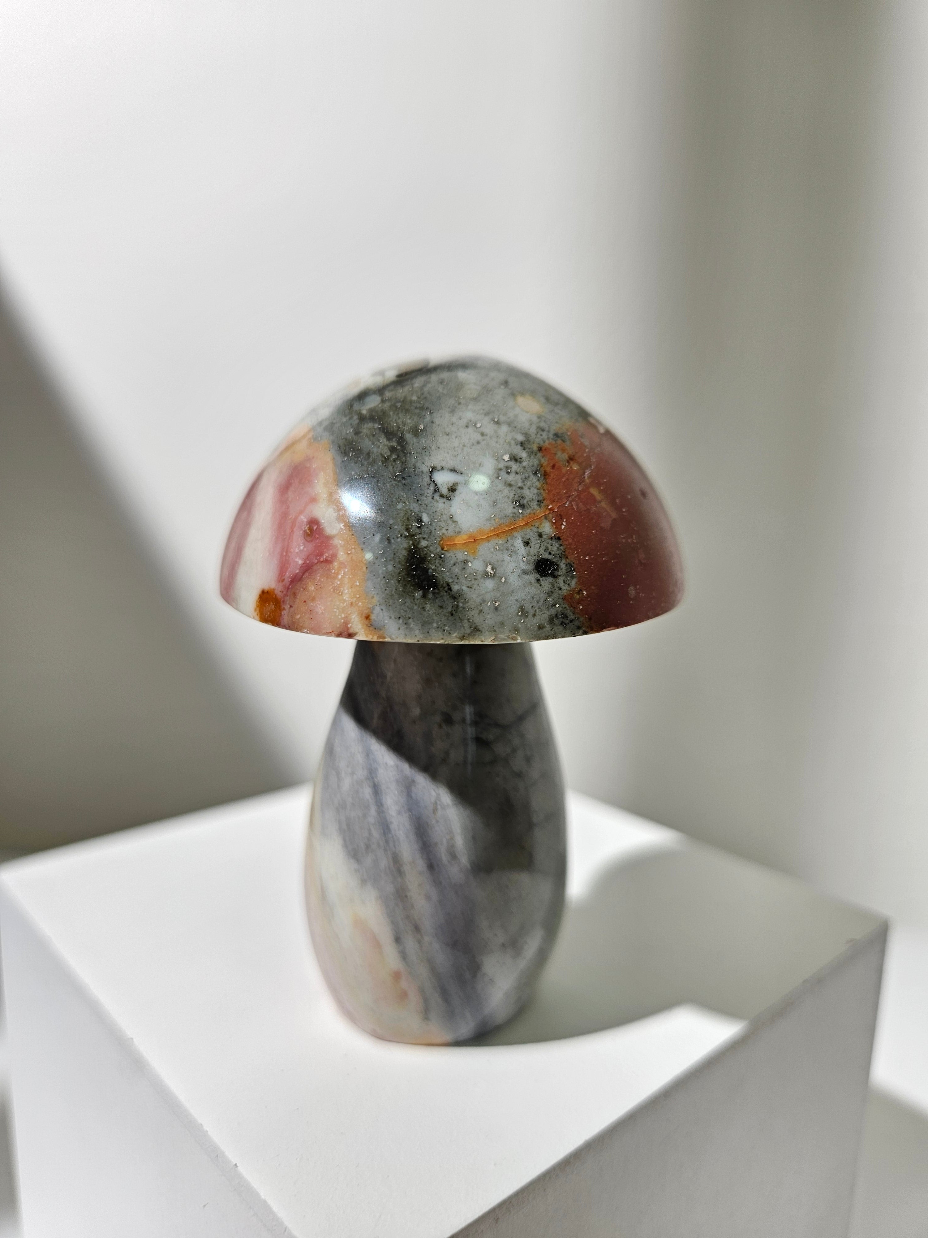 Polychrome Jasper Mushroom 007