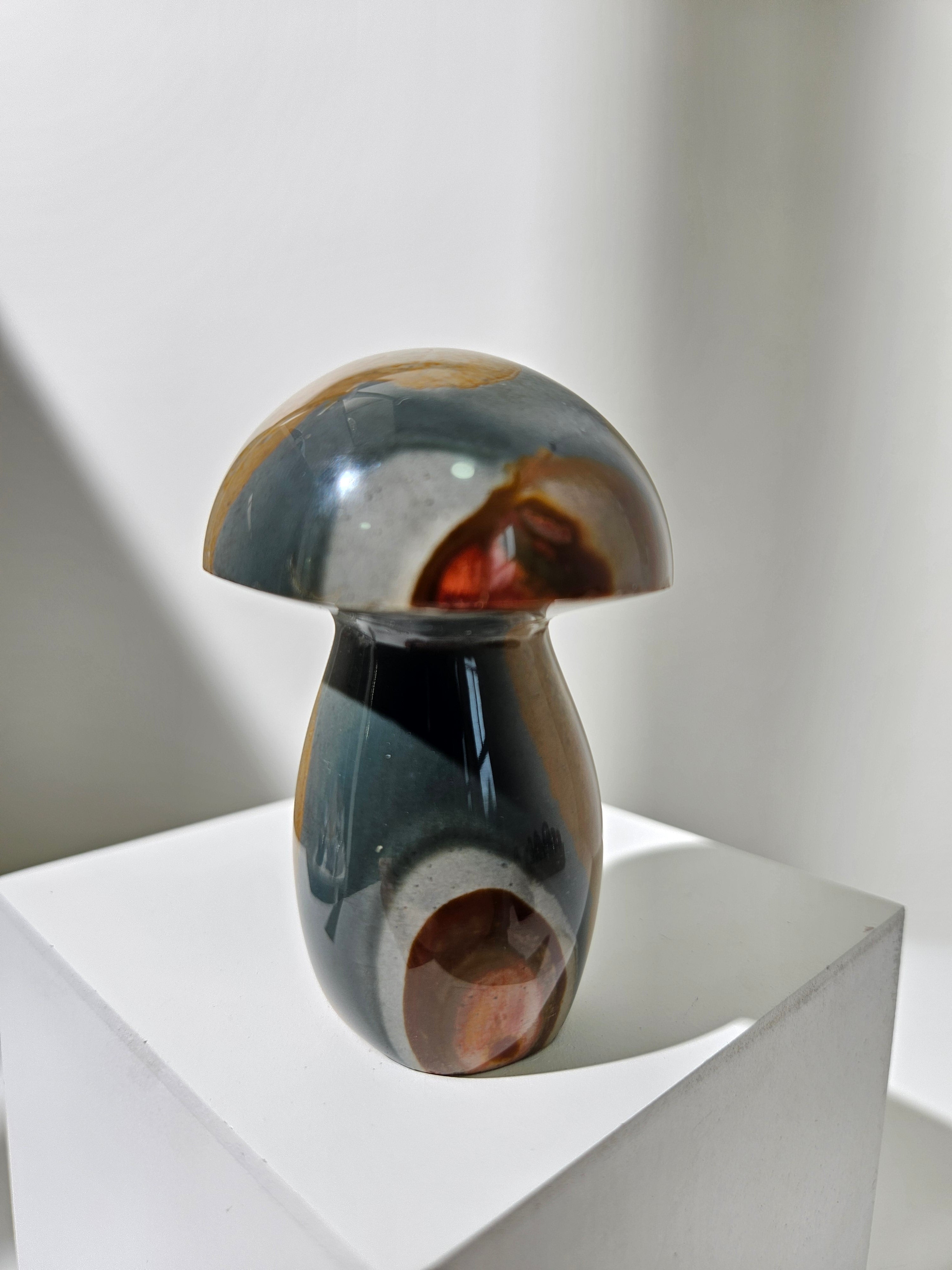 Polychrome Jasper Mushroom 008