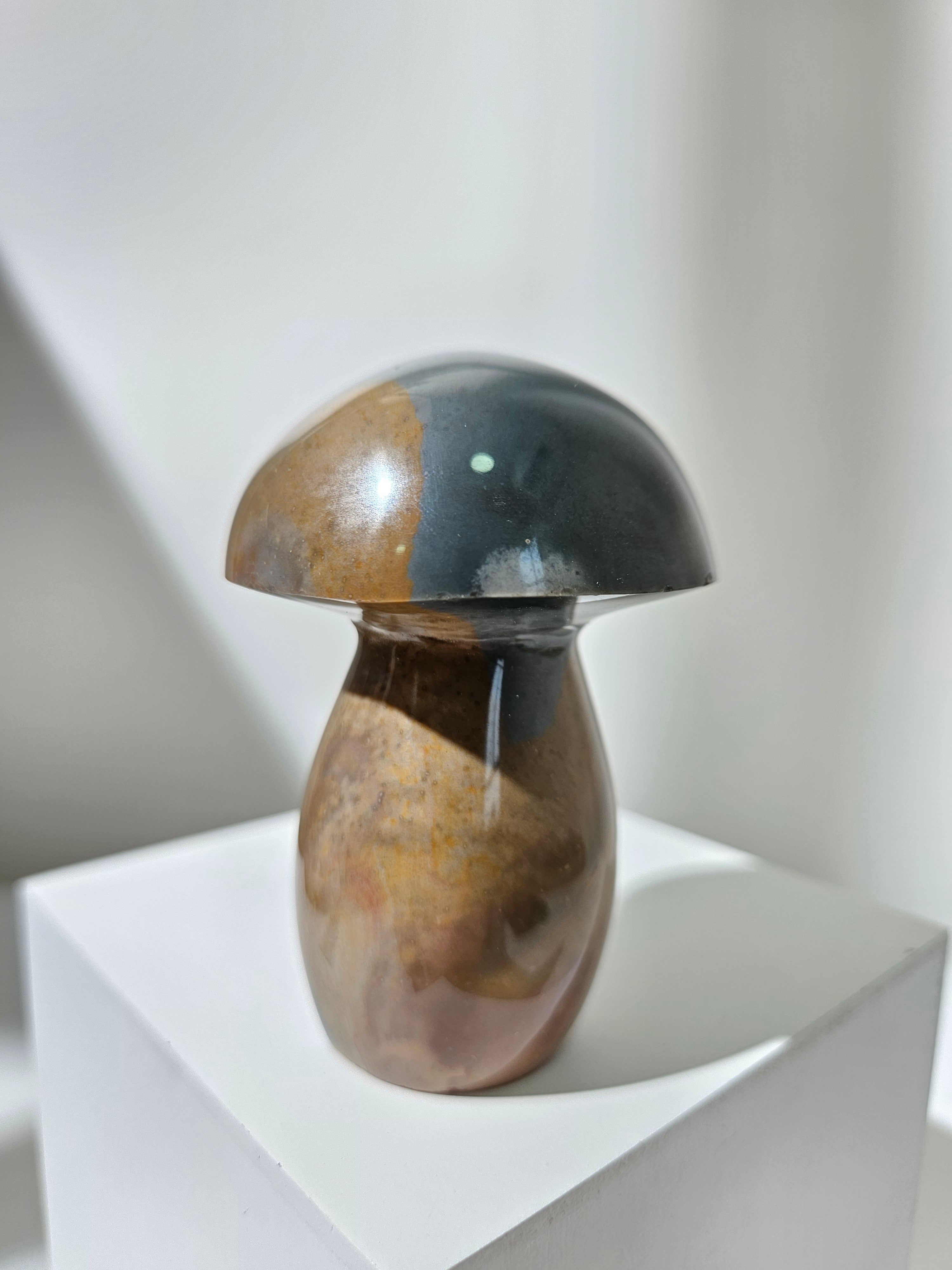 Polychrome Jasper Mushroom 008
