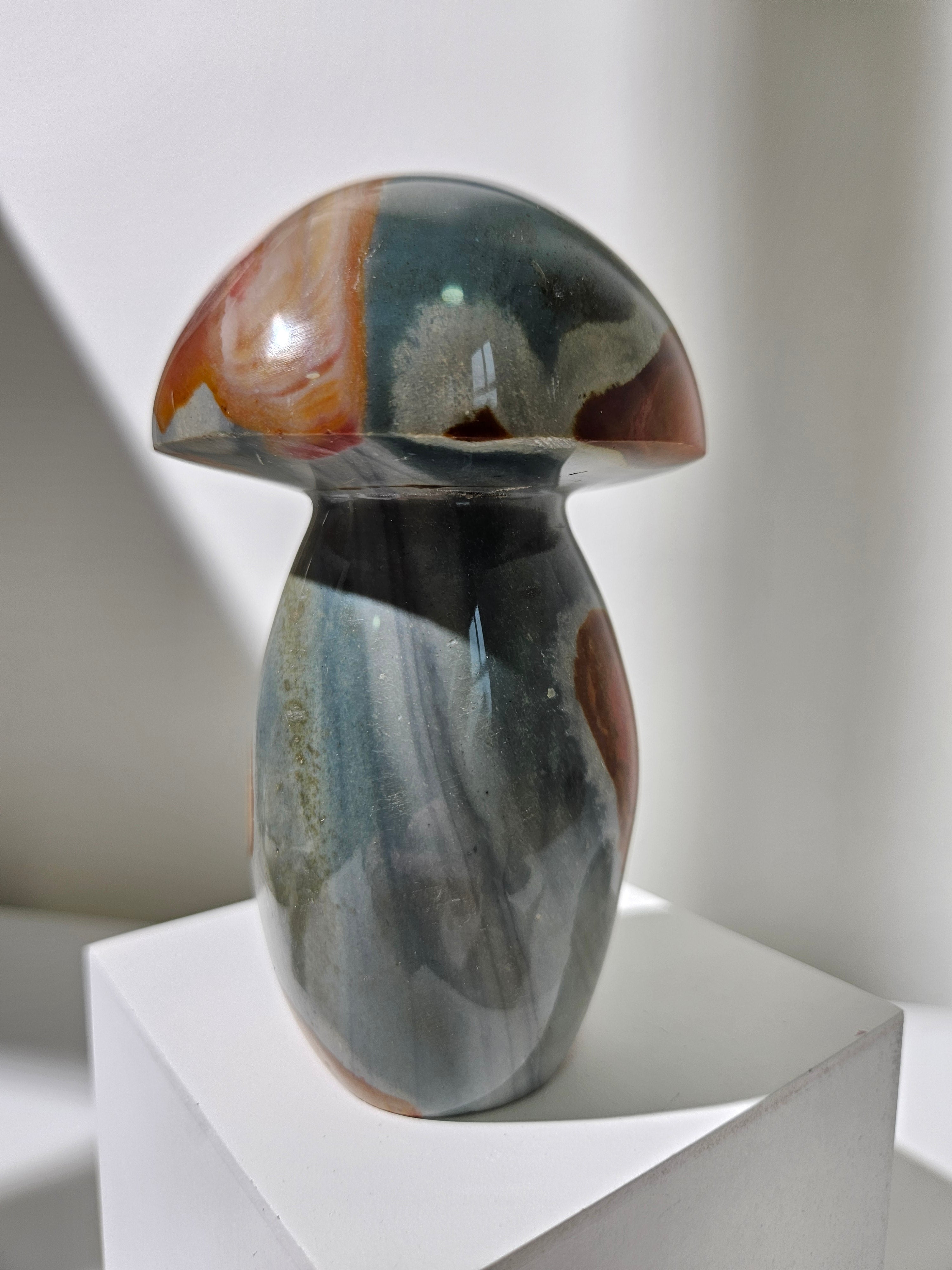 Polychrome Jasper Mushroom 009