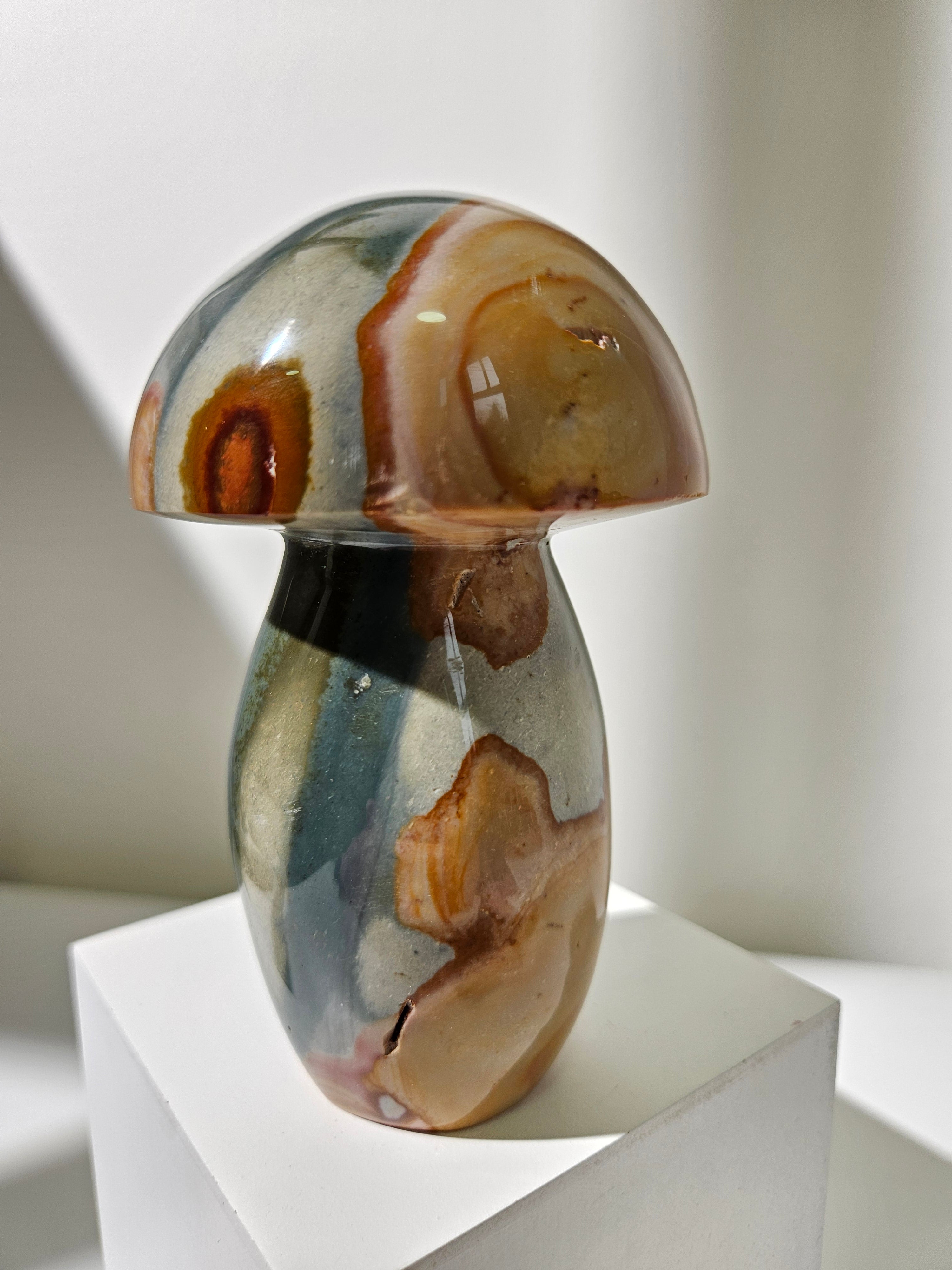 Polychrome Jasper Mushroom 009