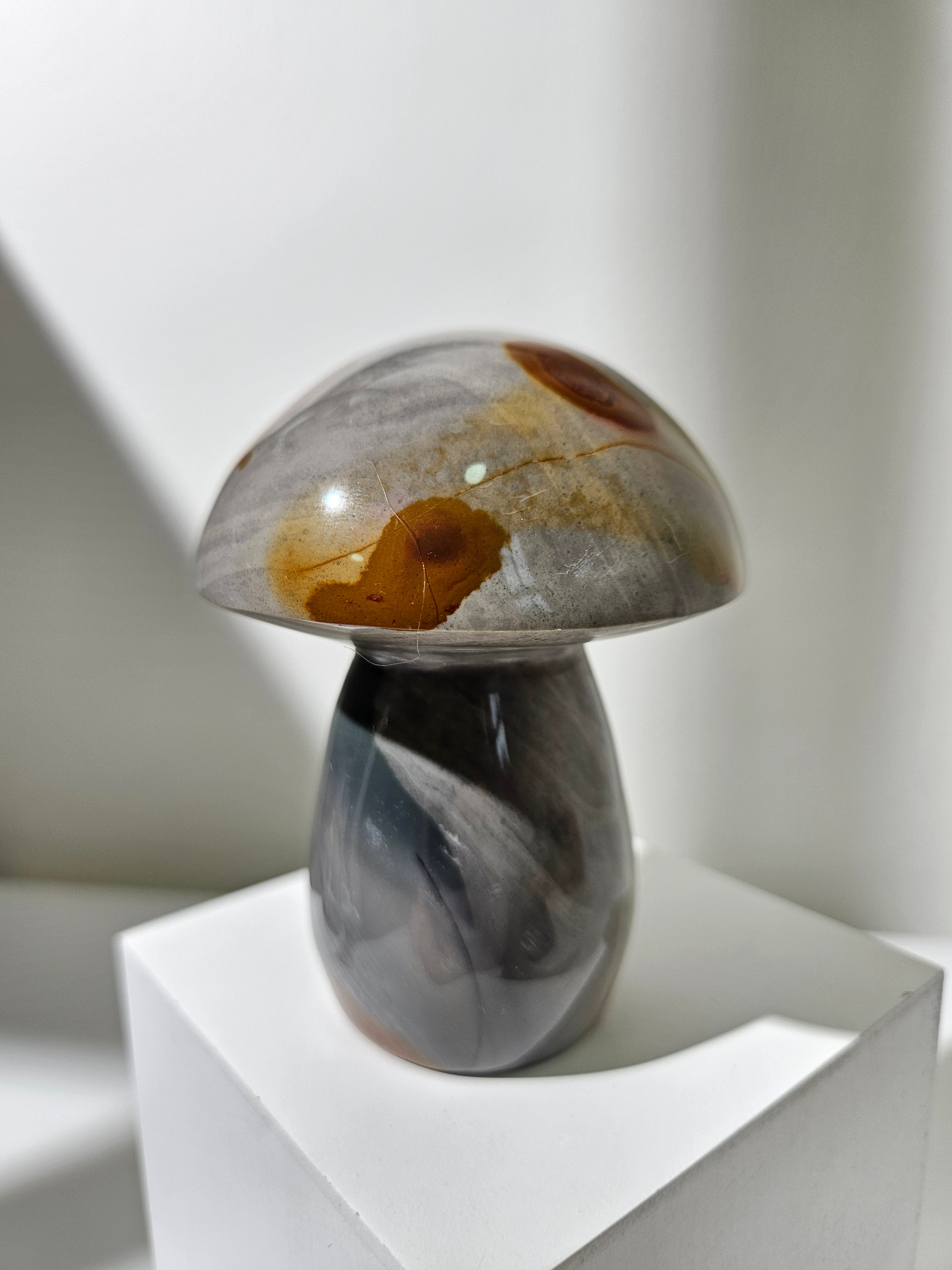 Polychrome Jasper Mushroom 010