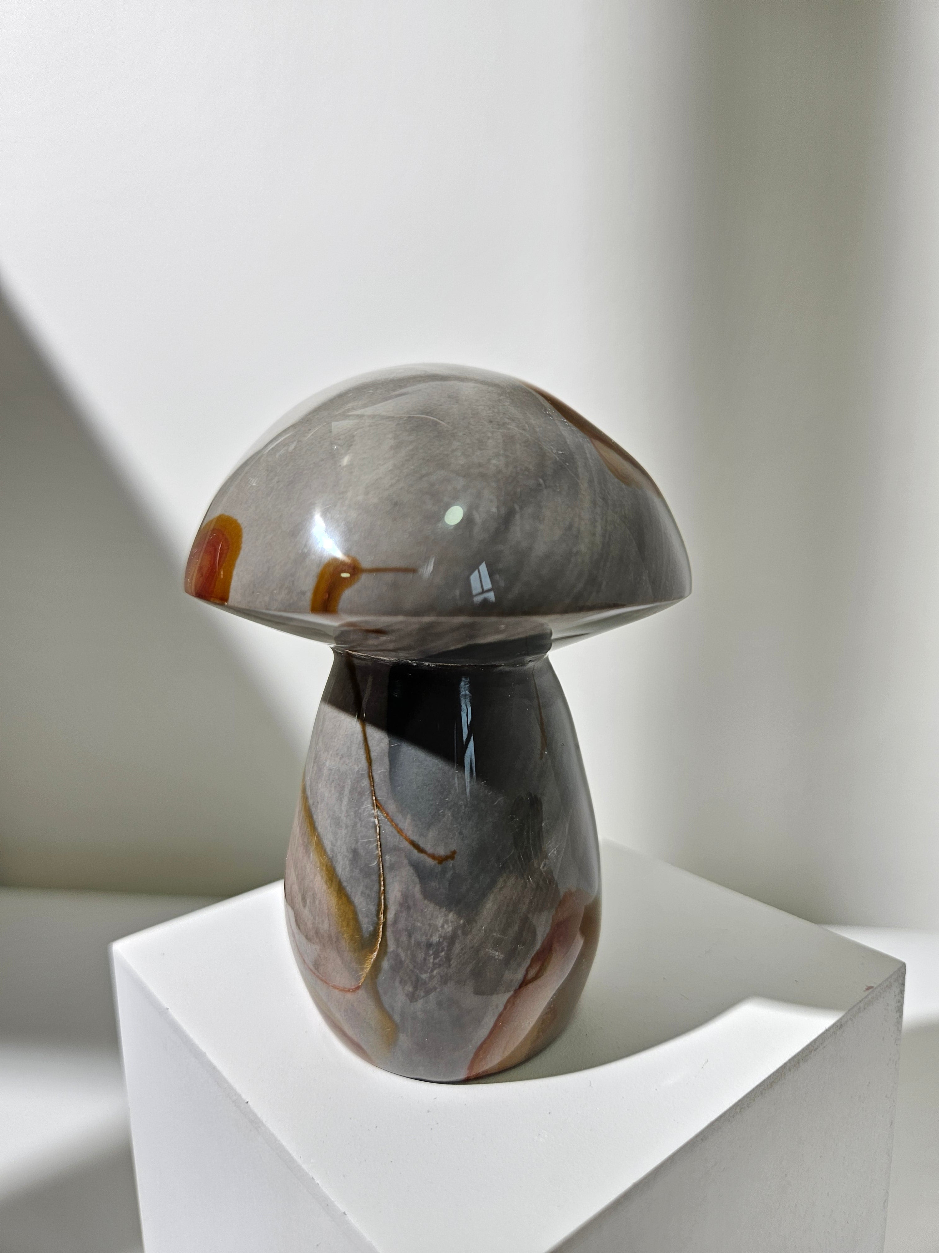 Polychrome Jasper Mushroom 010