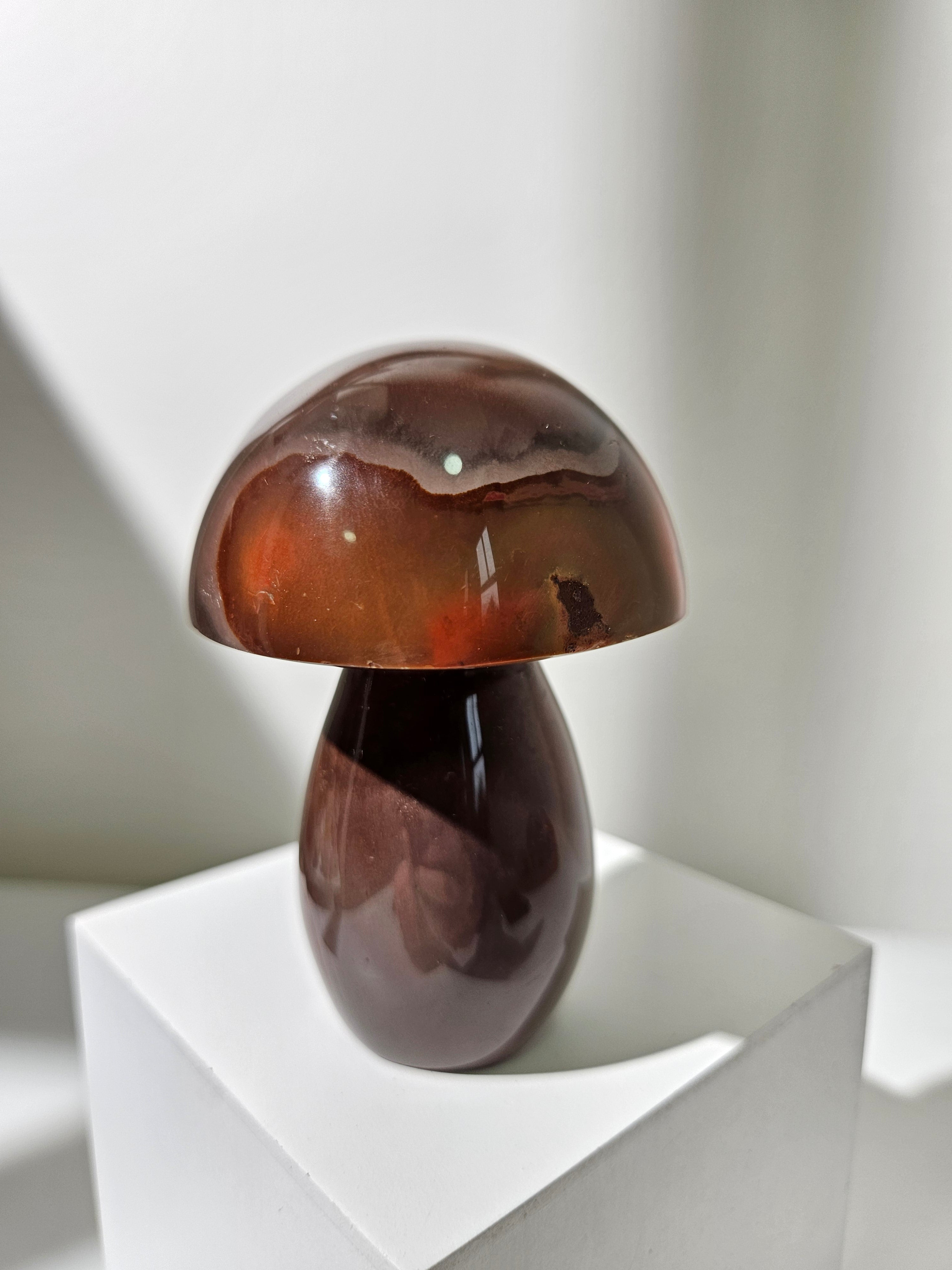Polychrome Jasper Mushroom 011