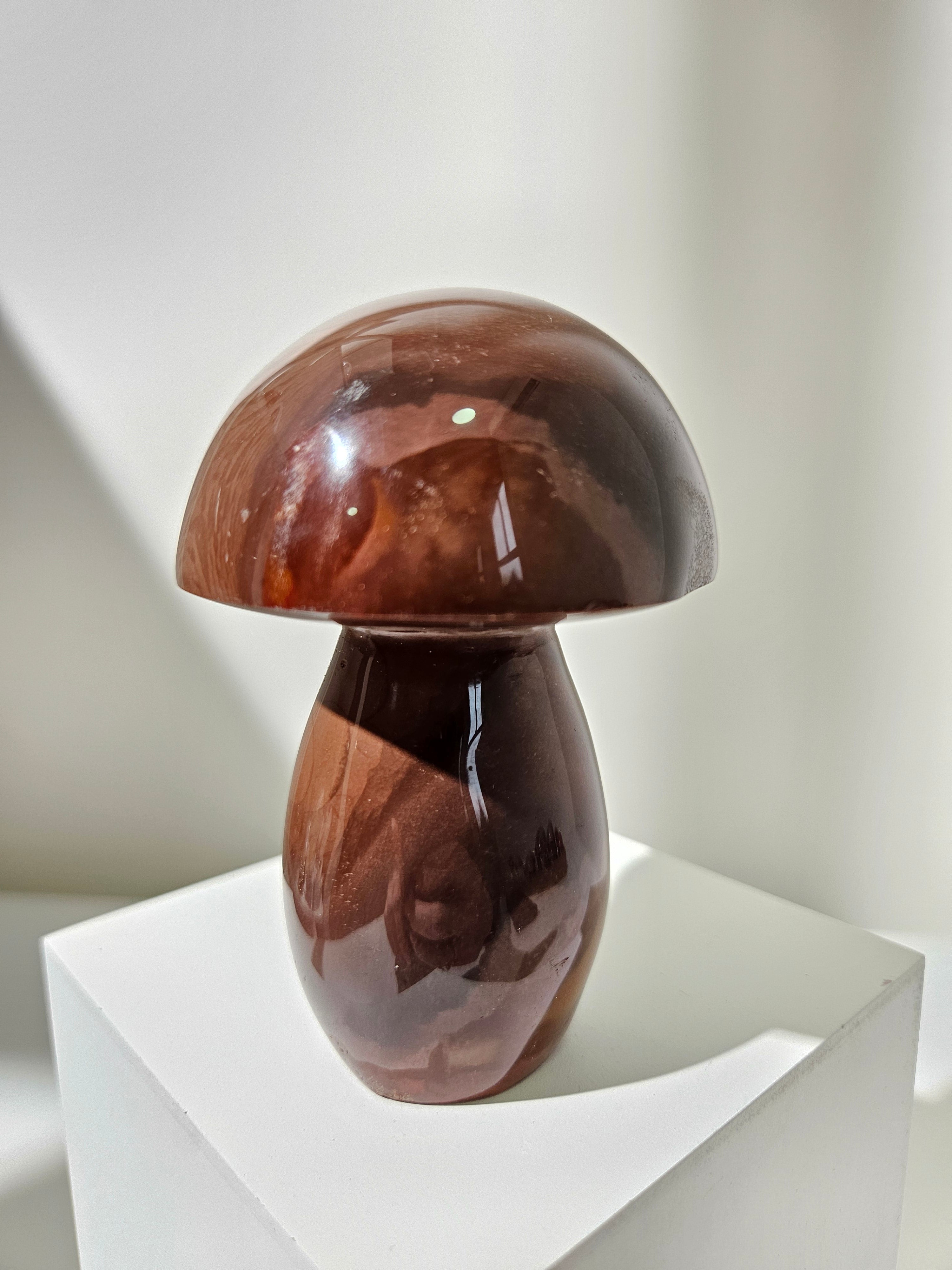 Polychrome Jasper Mushroom 011