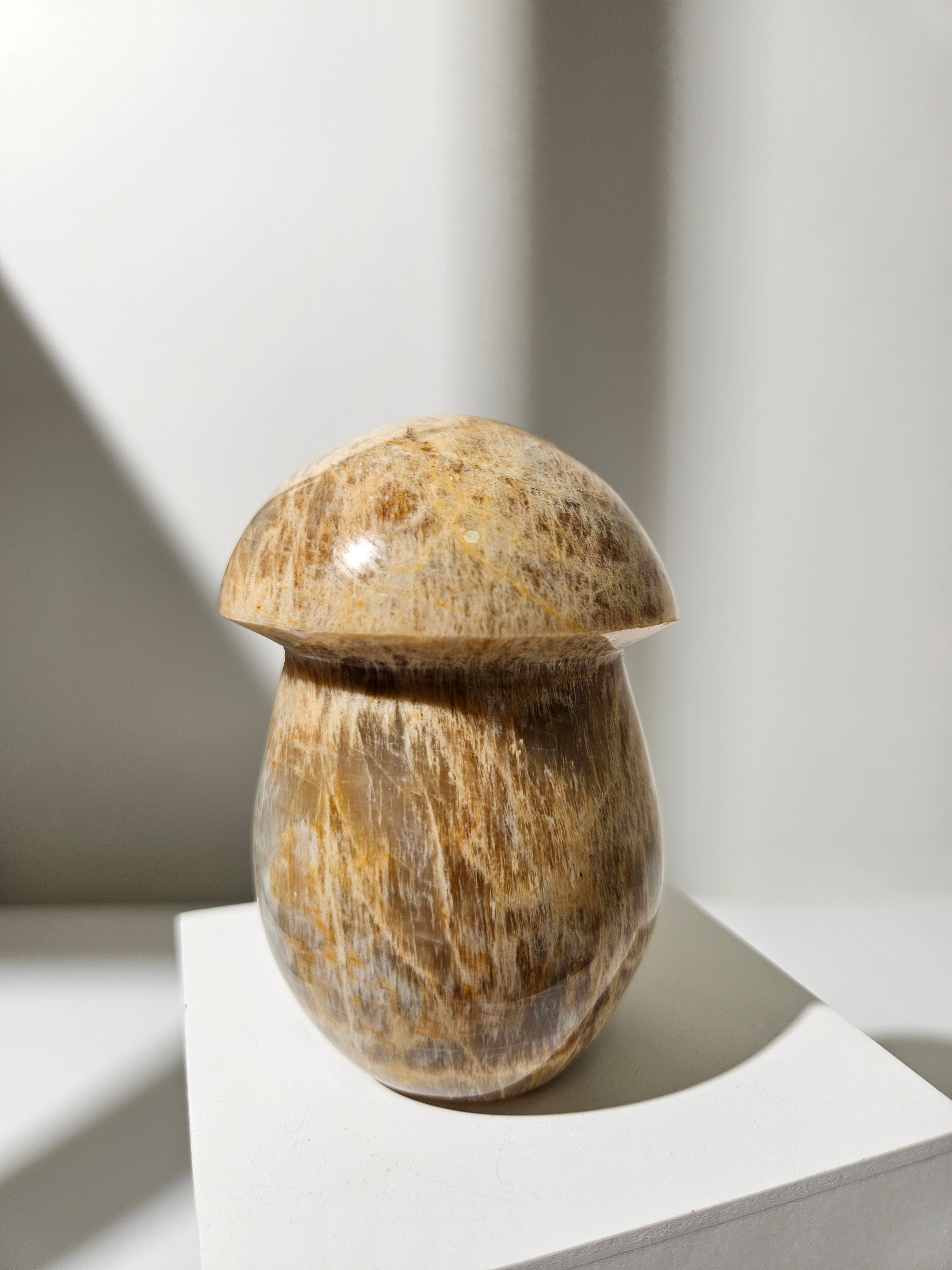 Moonstone Mushroom 001