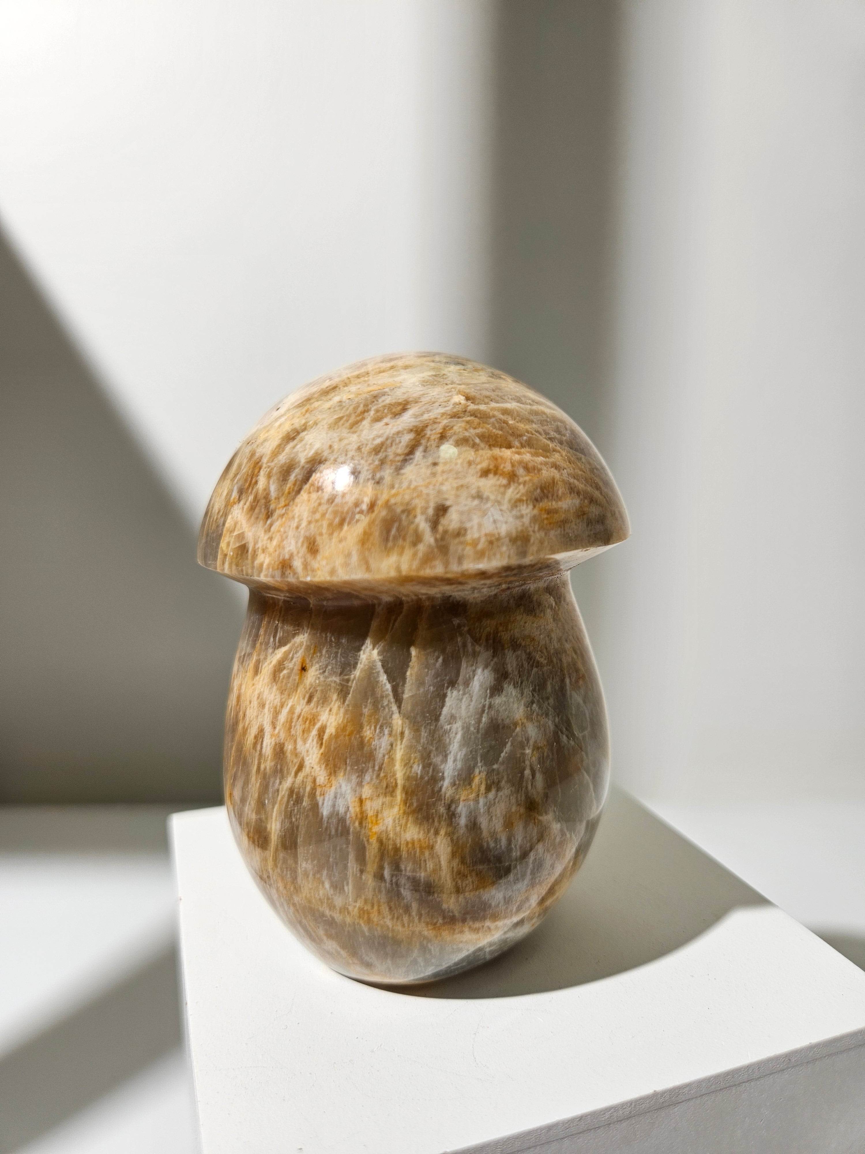 Moonstone Mushroom 001