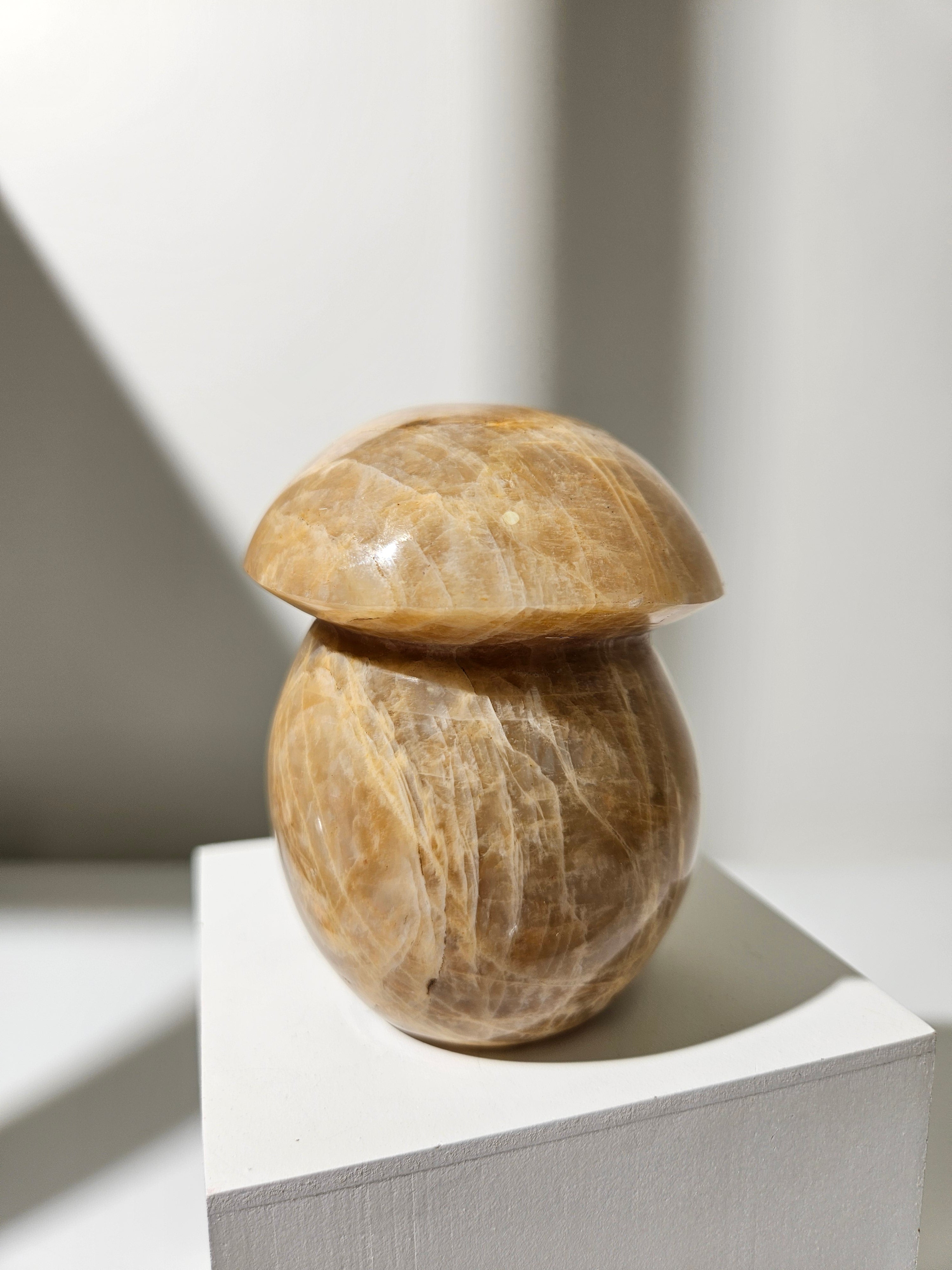 Moonstone Mushroom 002