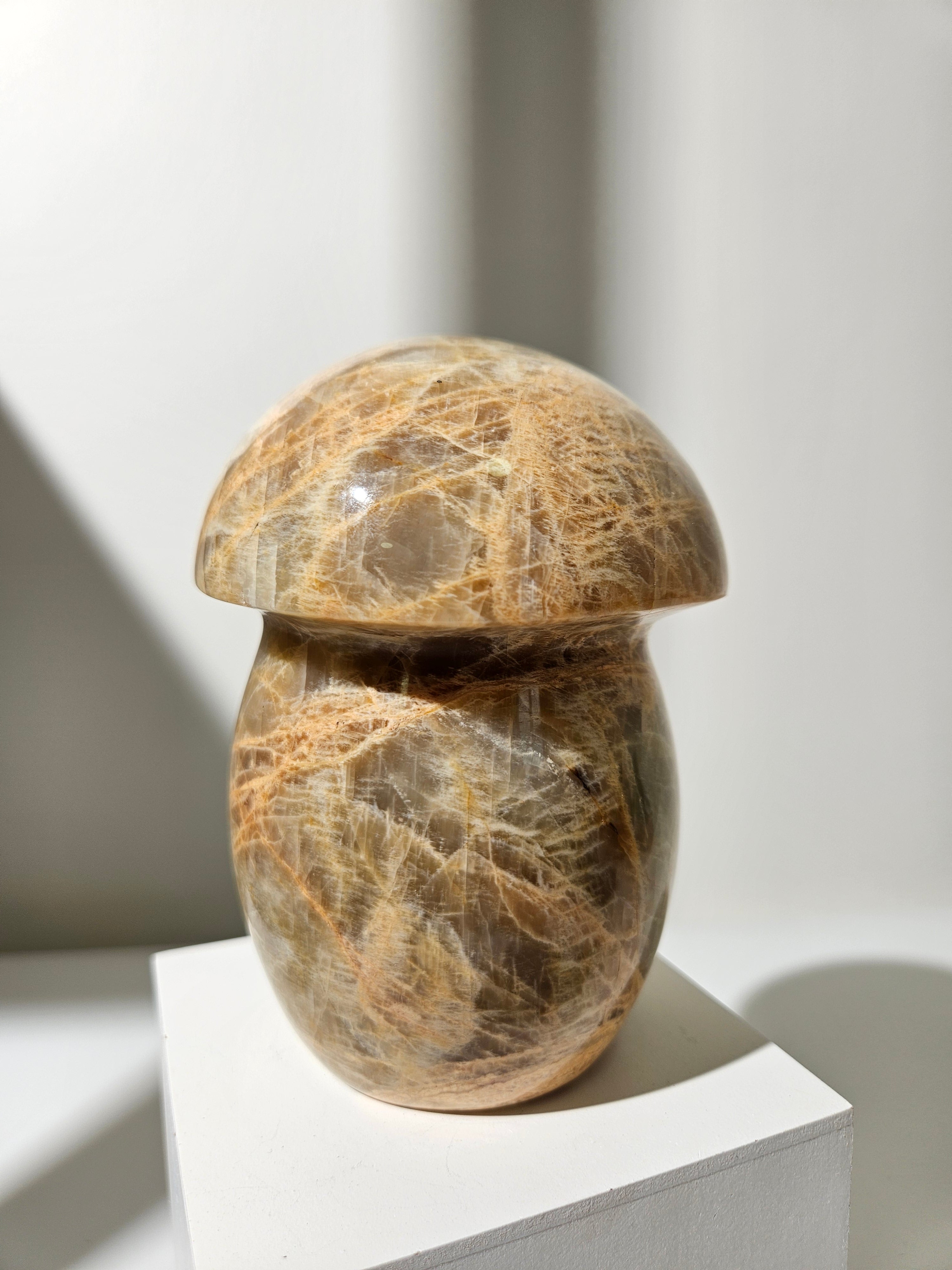 Moonstone Mushroom 003