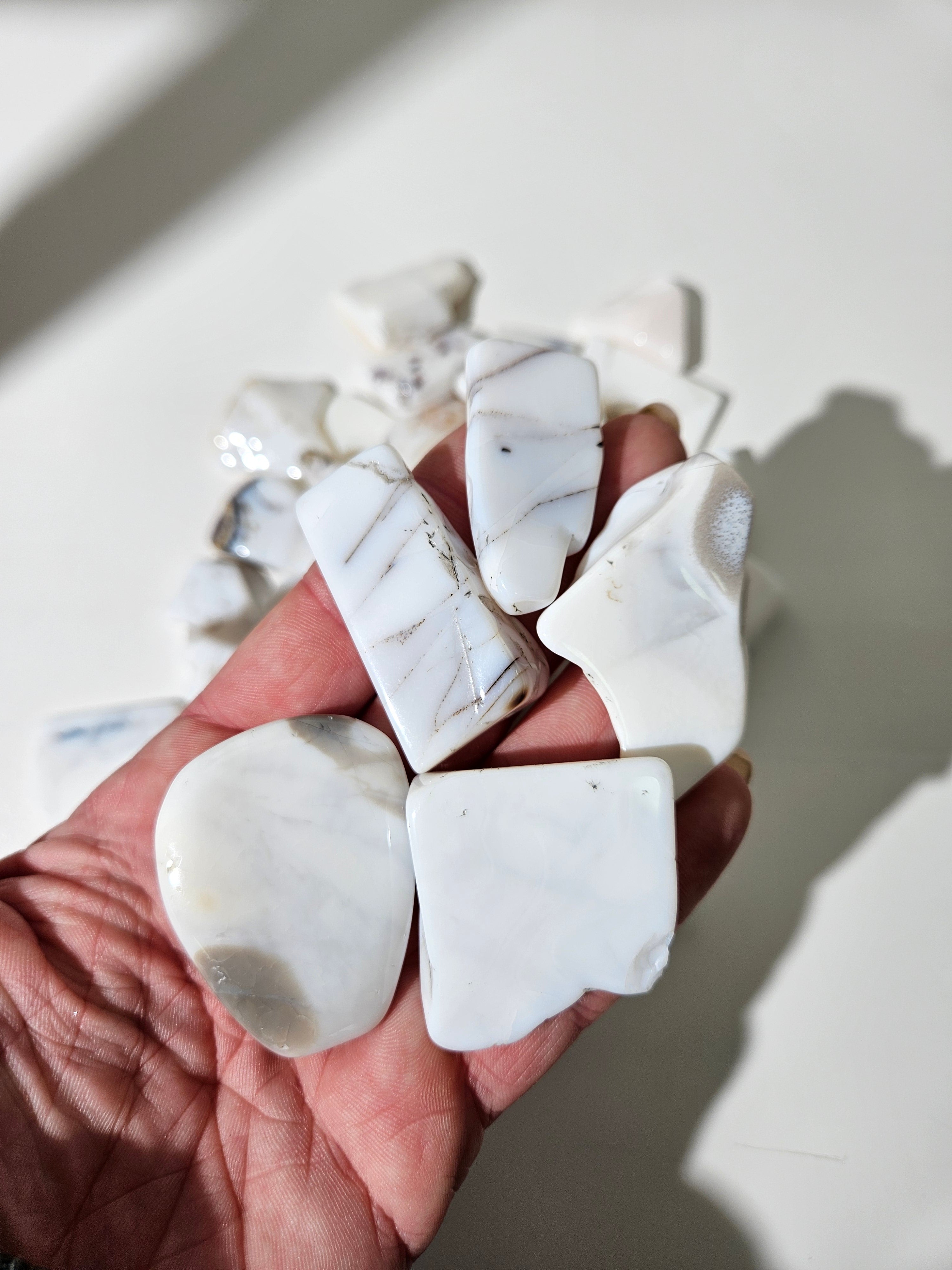 Marble Slices | bulk 1lb