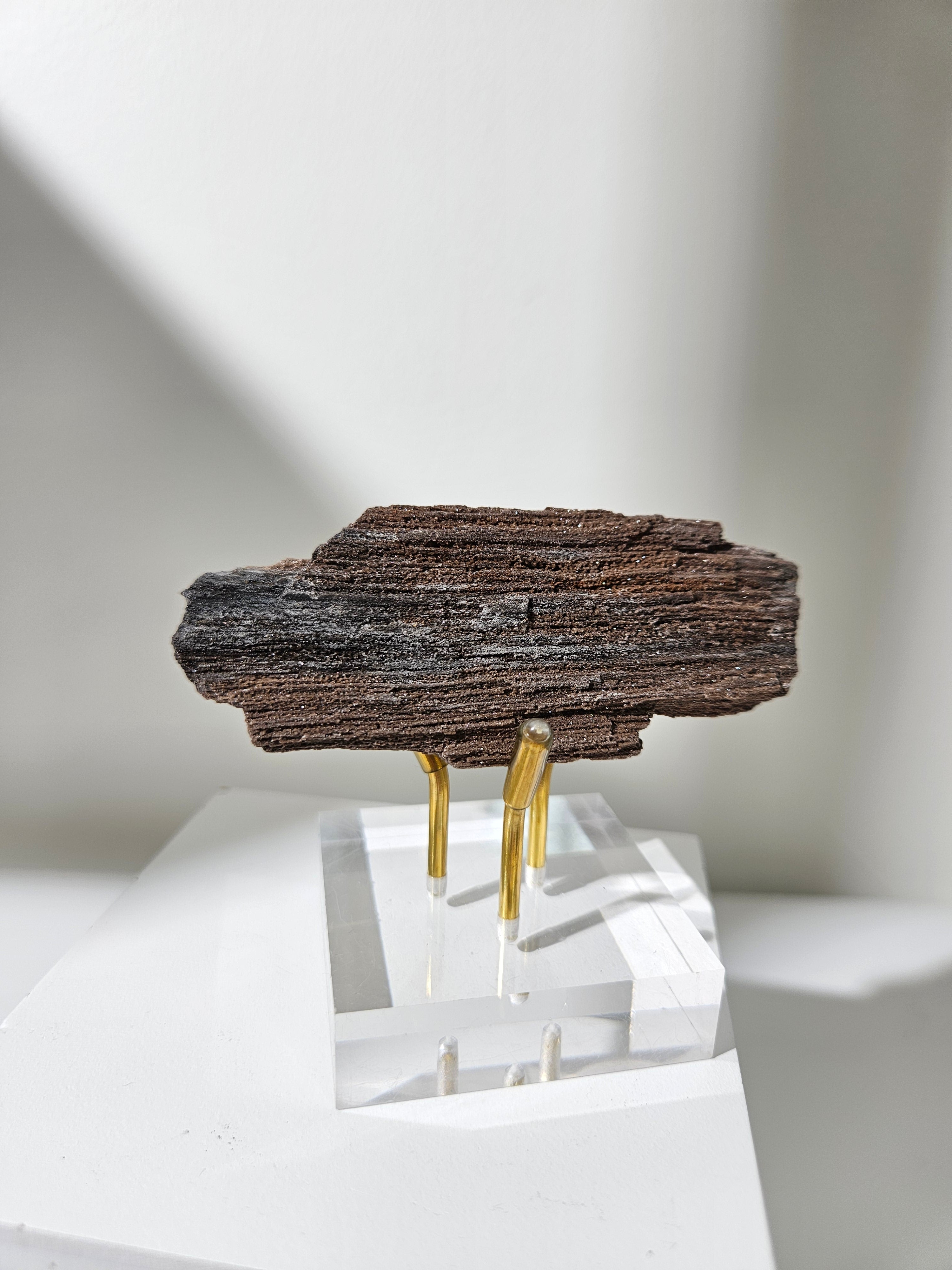 Permineralized Wood 011