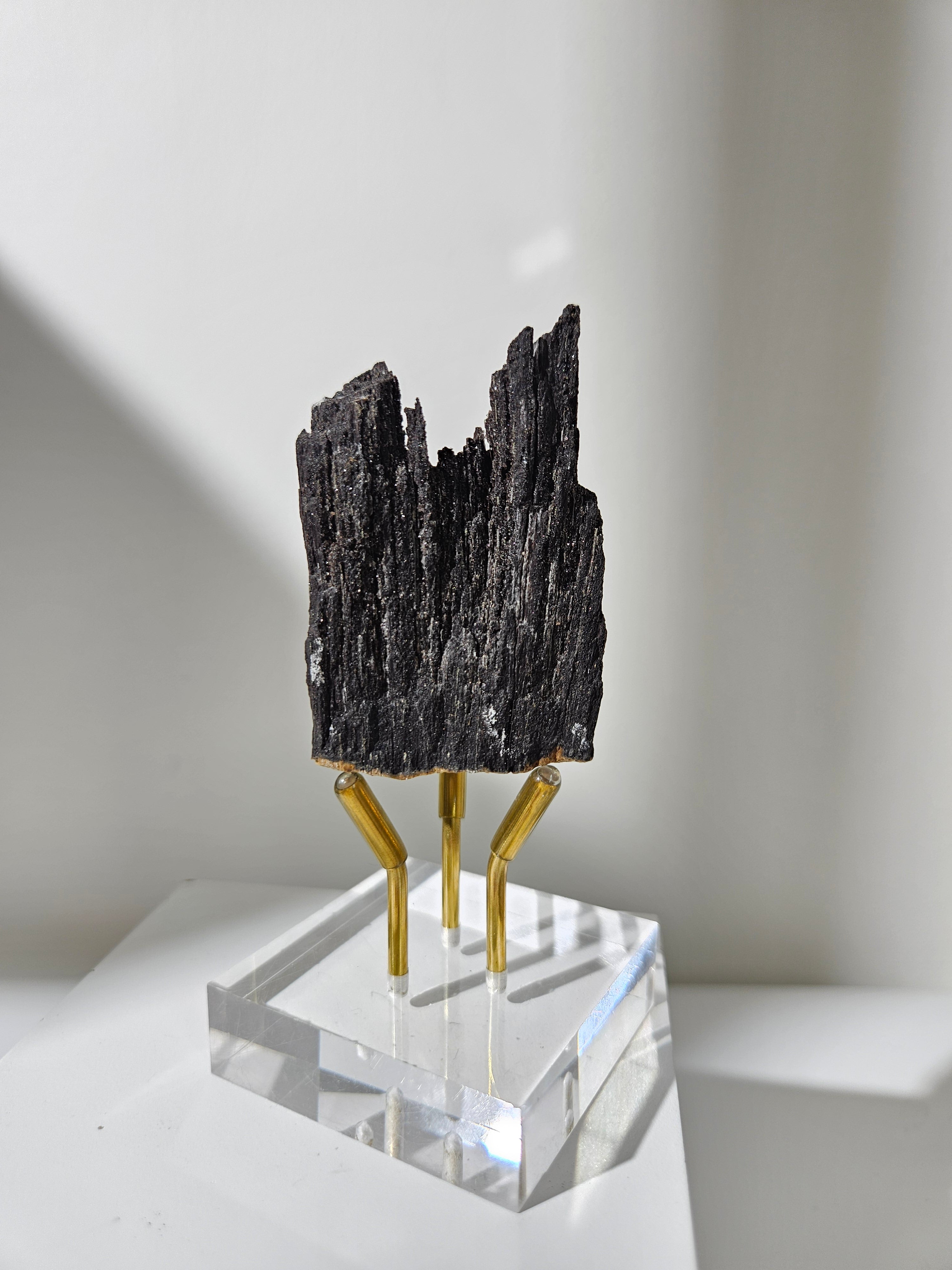 Permineralized Wood 013