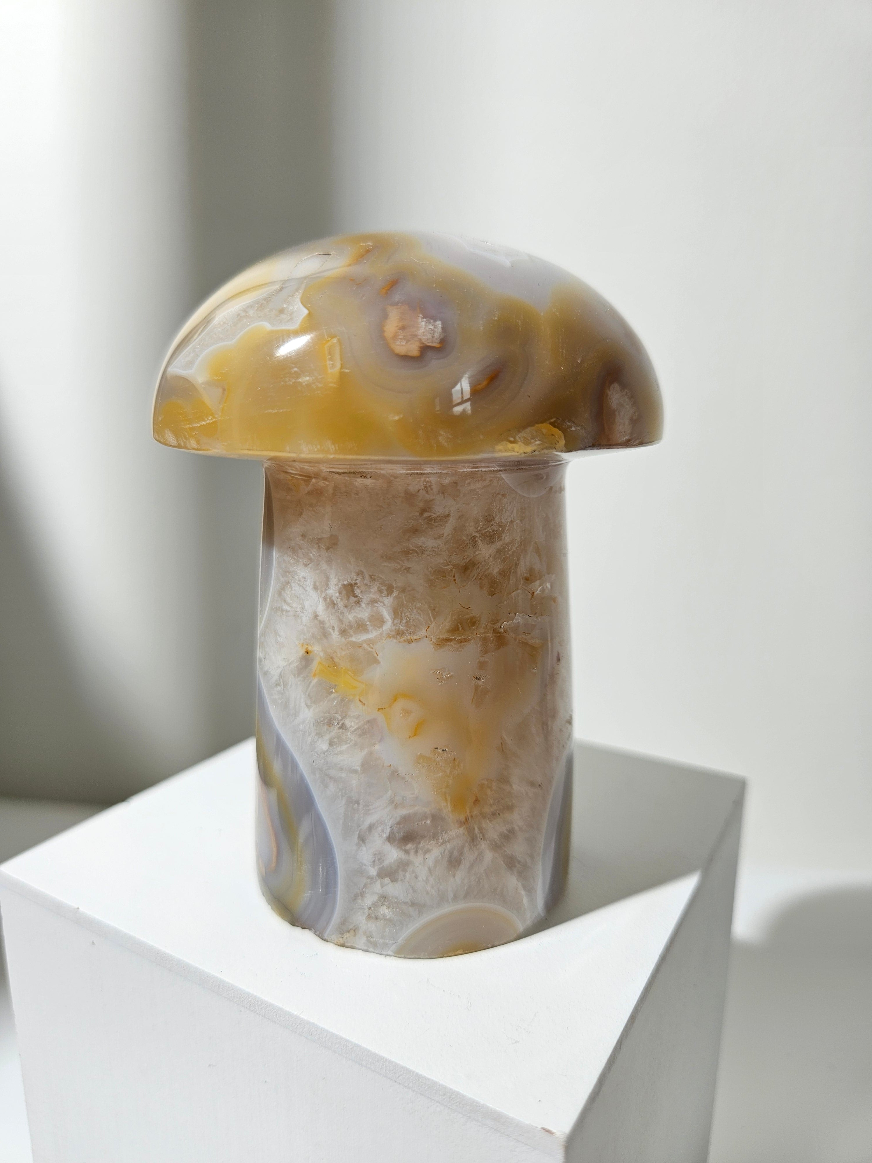 Flower Agate Mushroom 001