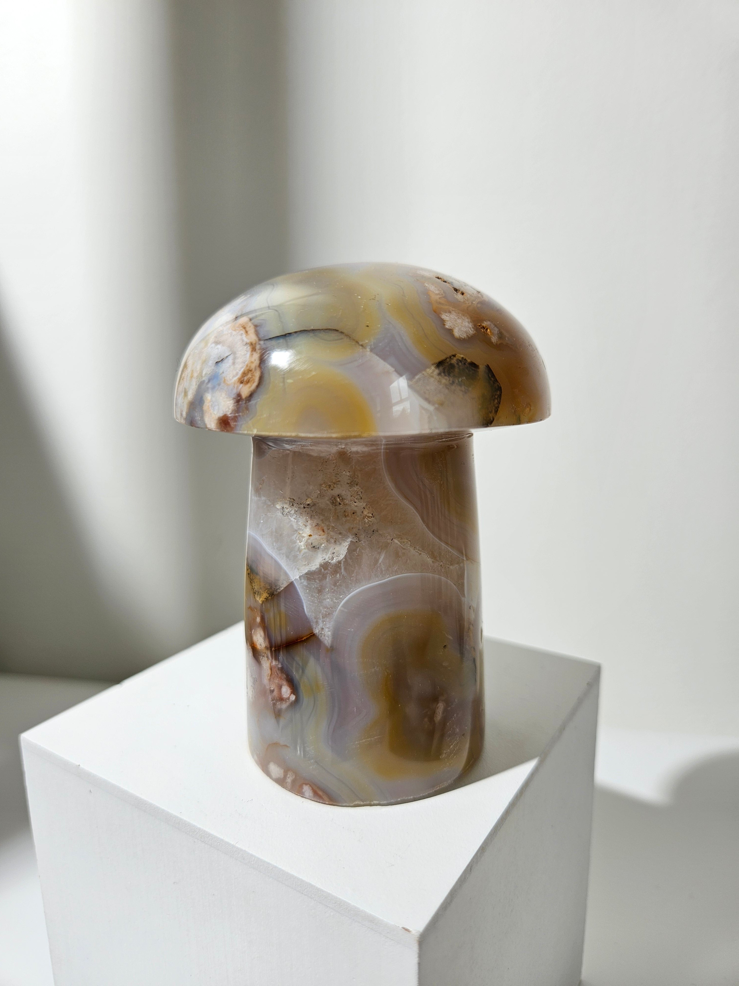 Flower Agate Mushroom 001