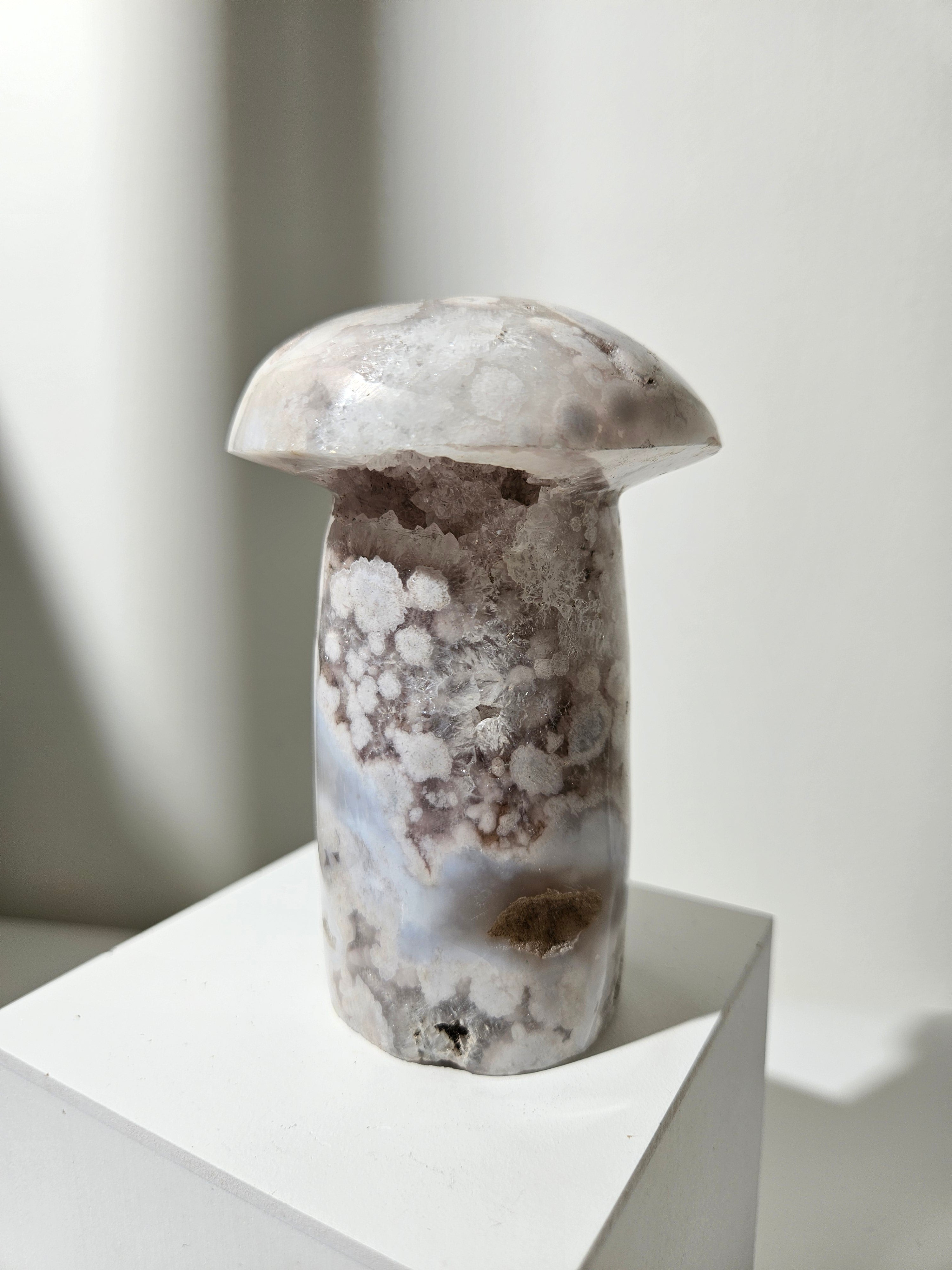 Flower Agate Mushroom 002