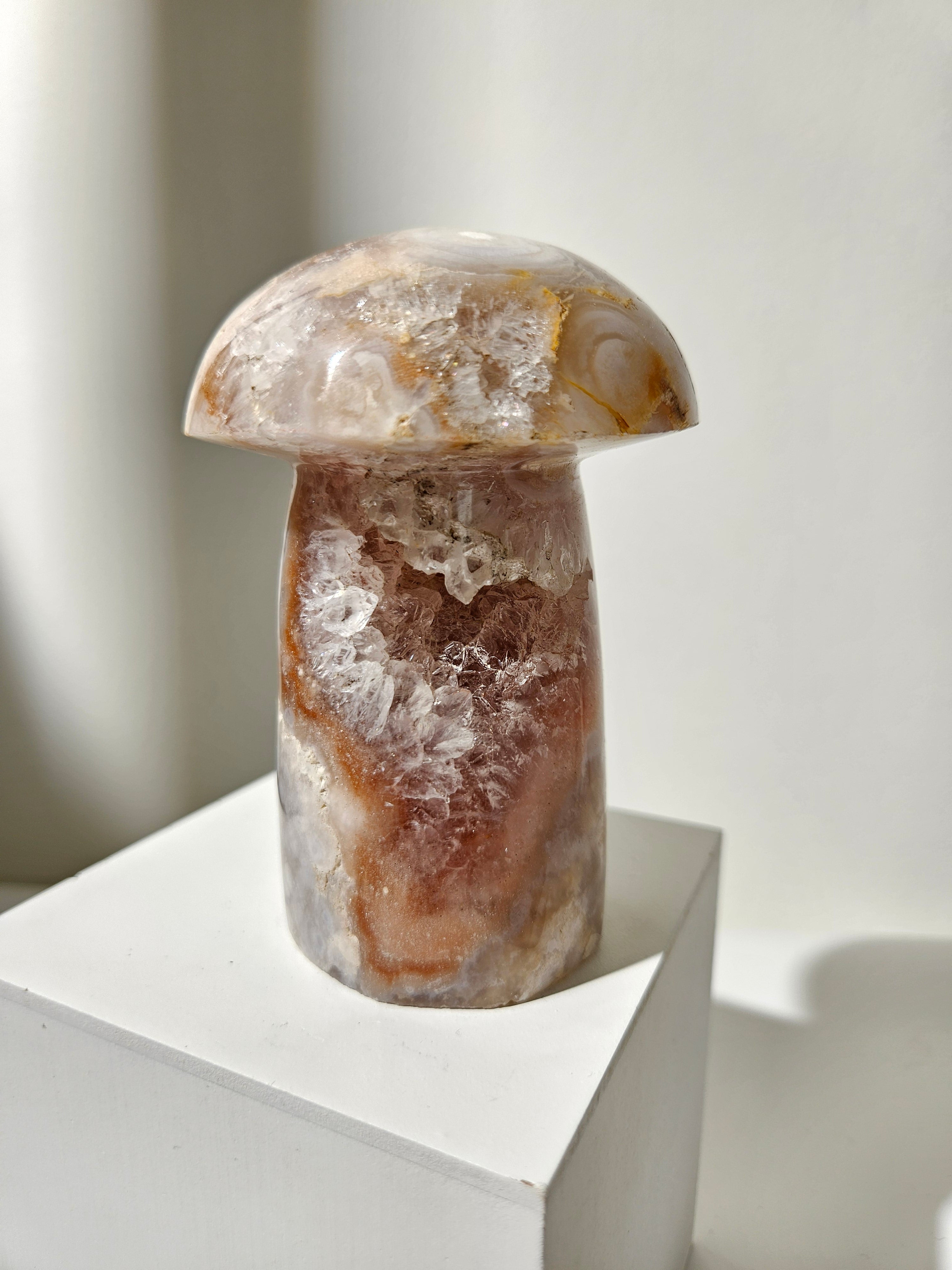 Flower Agate Mushroom 003