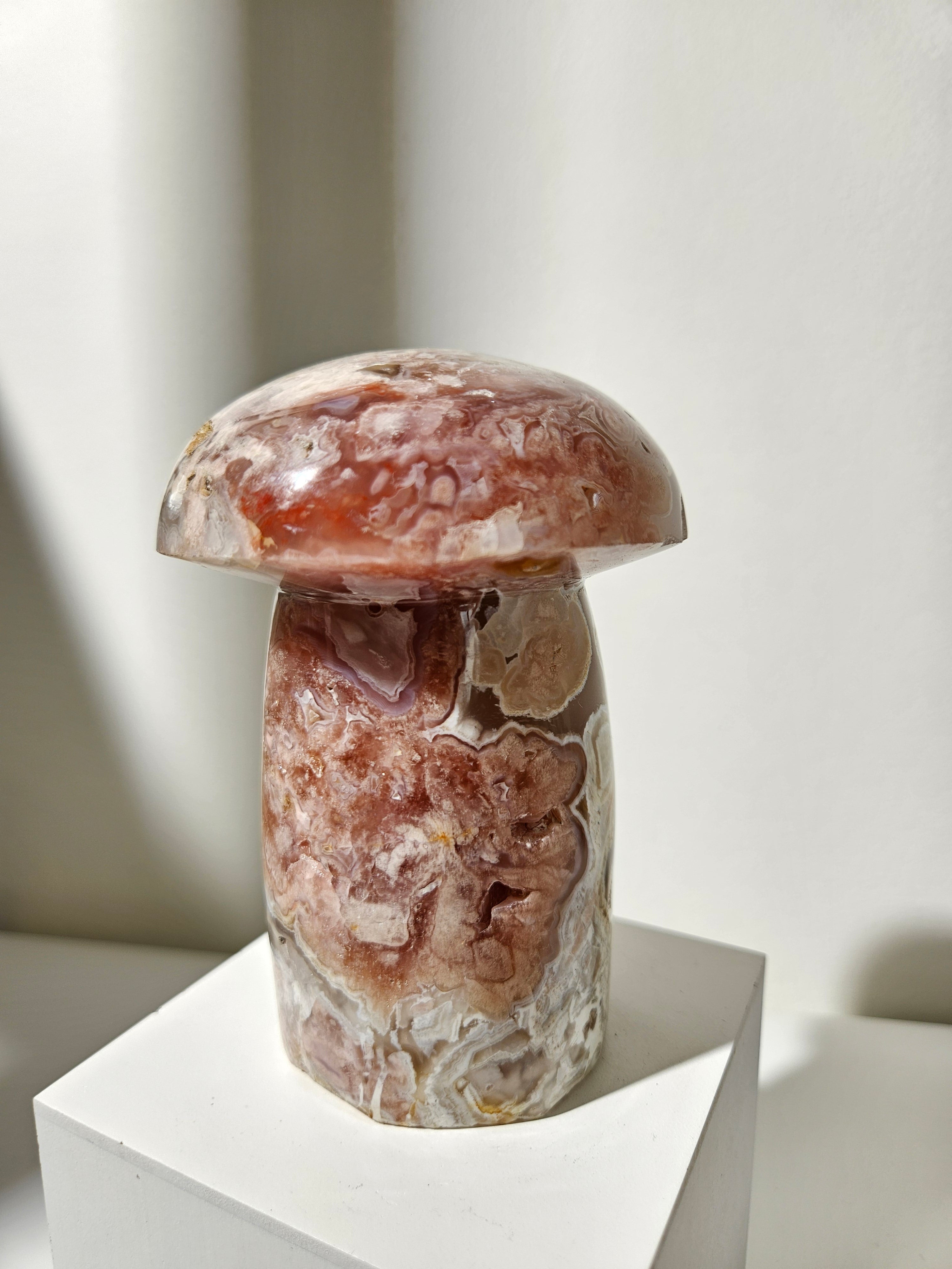 Flower Agate Mushroom 004
