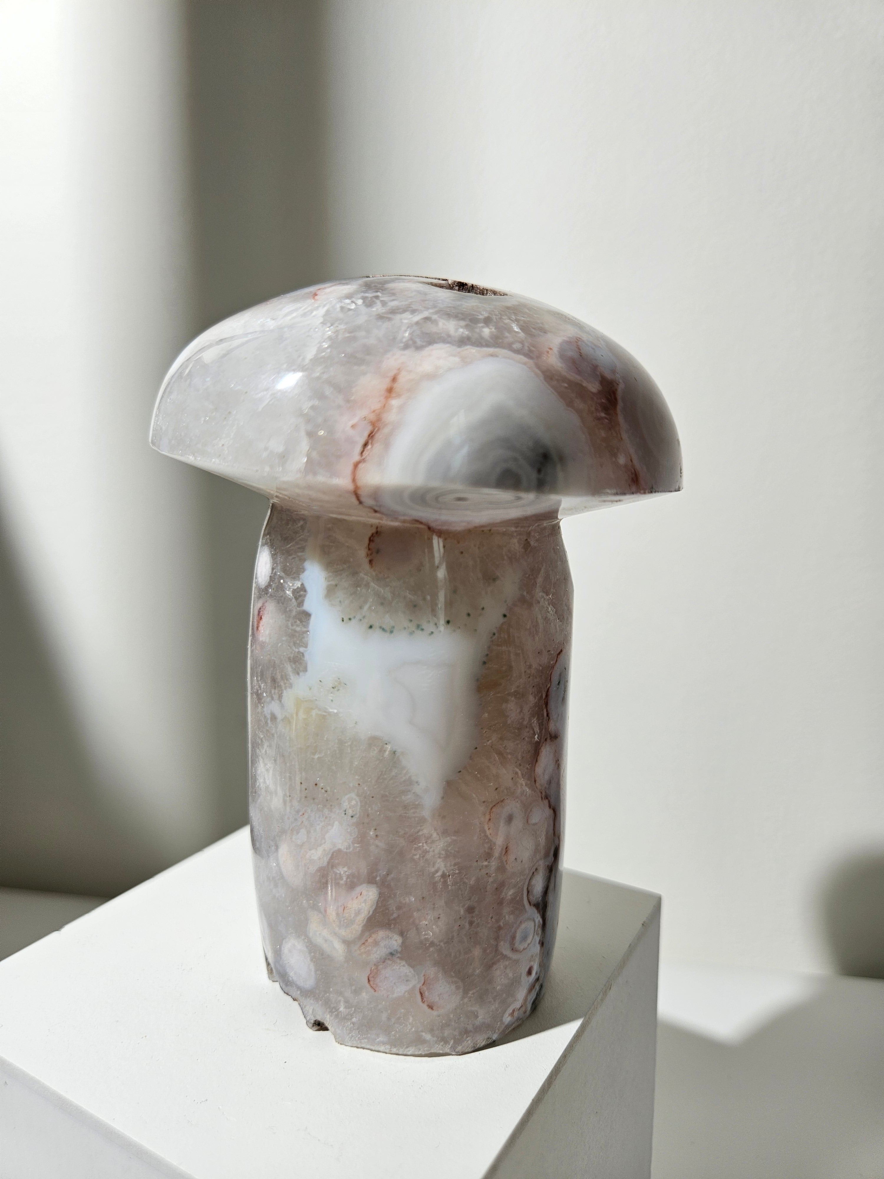 Flower Agate Mushroom 005