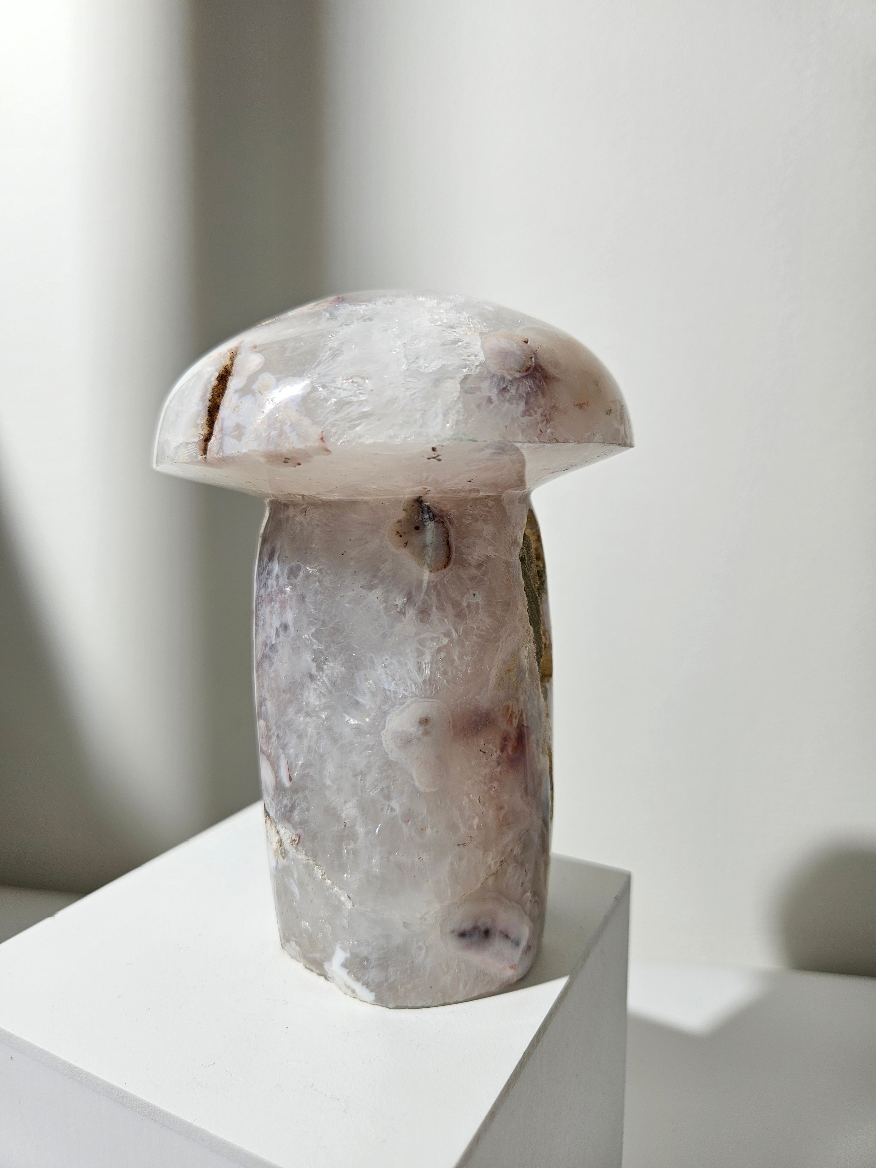Flower Agate Mushroom 005
