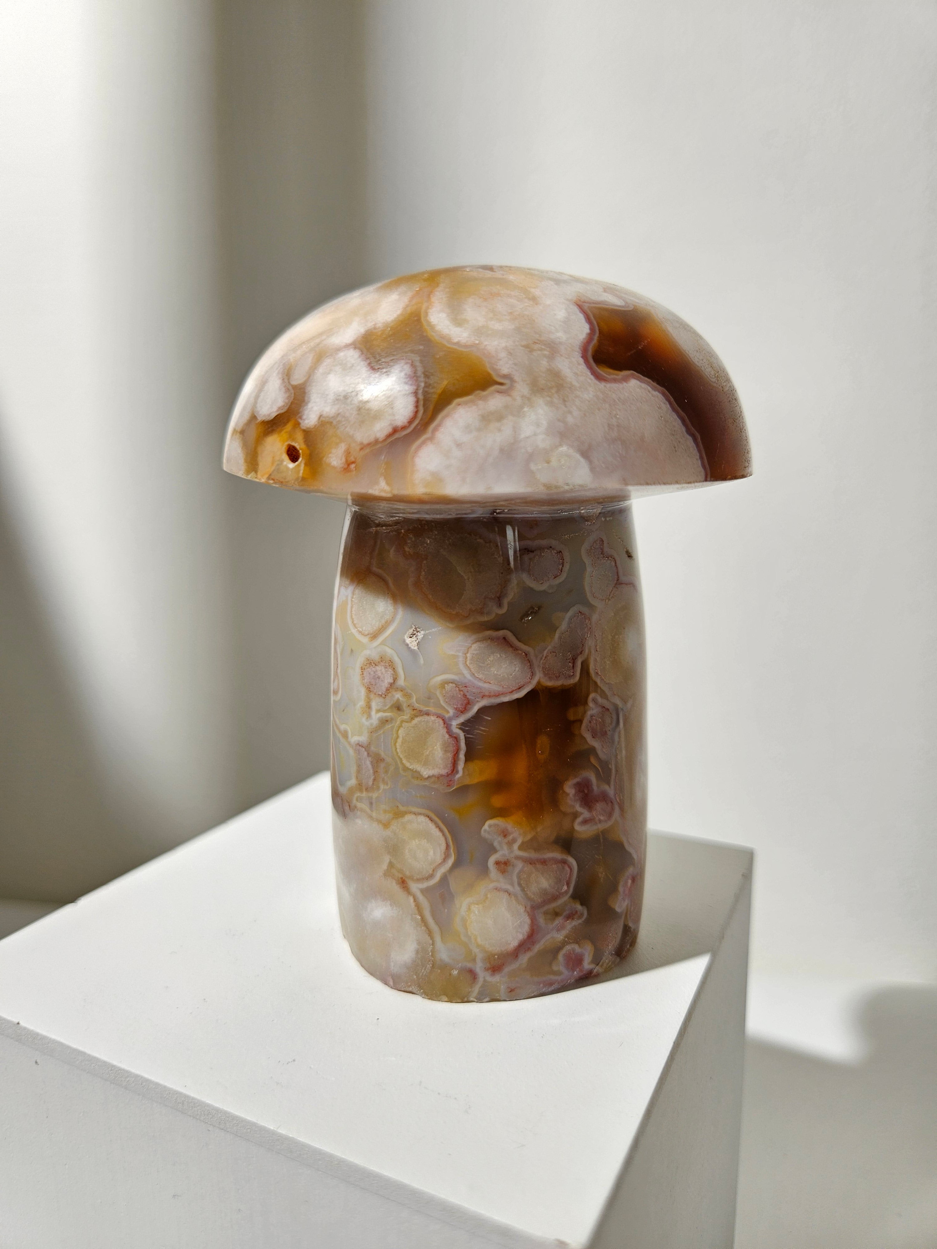 Flower Agate Mushroom 006