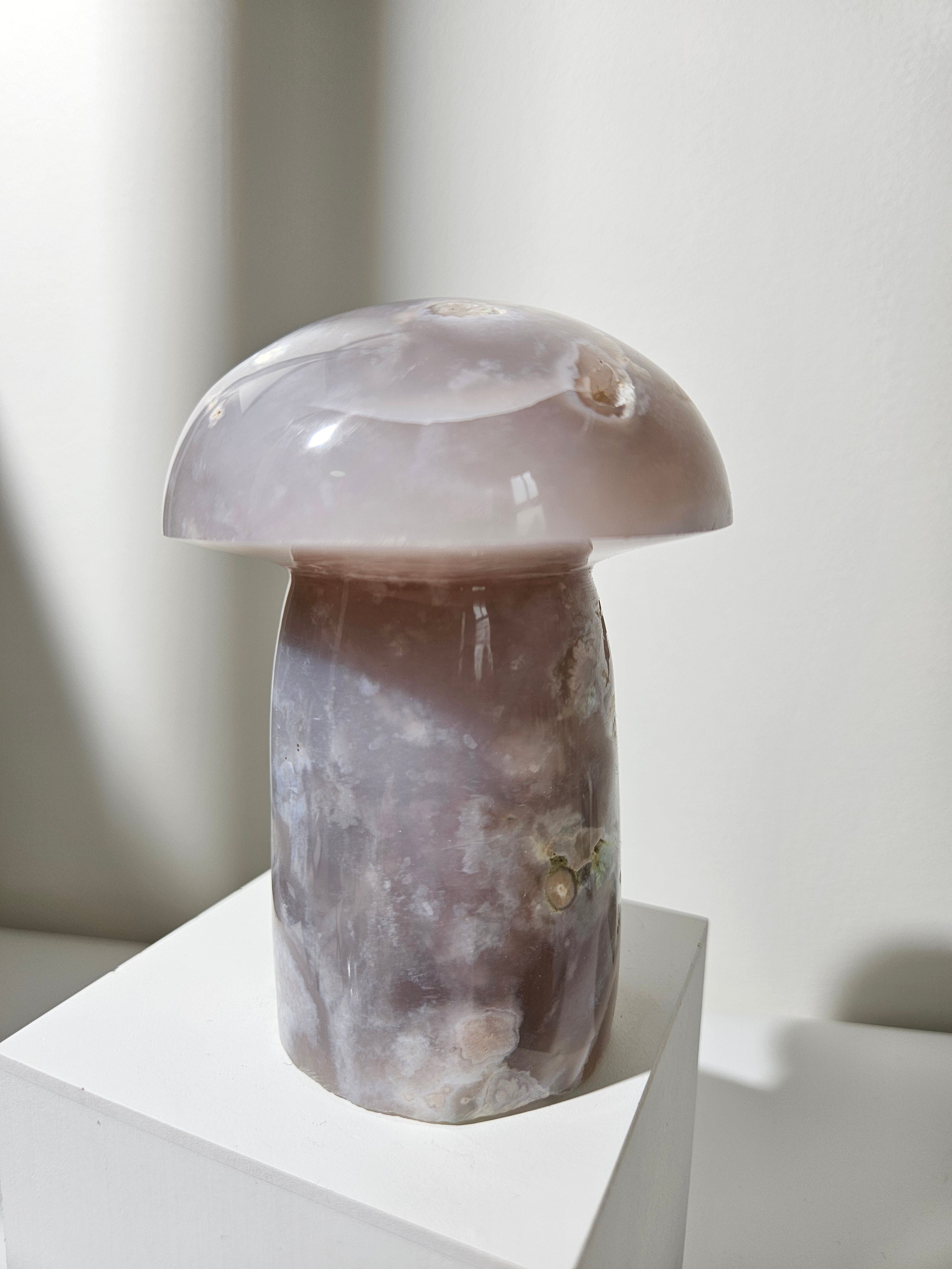 Flower Agate Mushroom 007