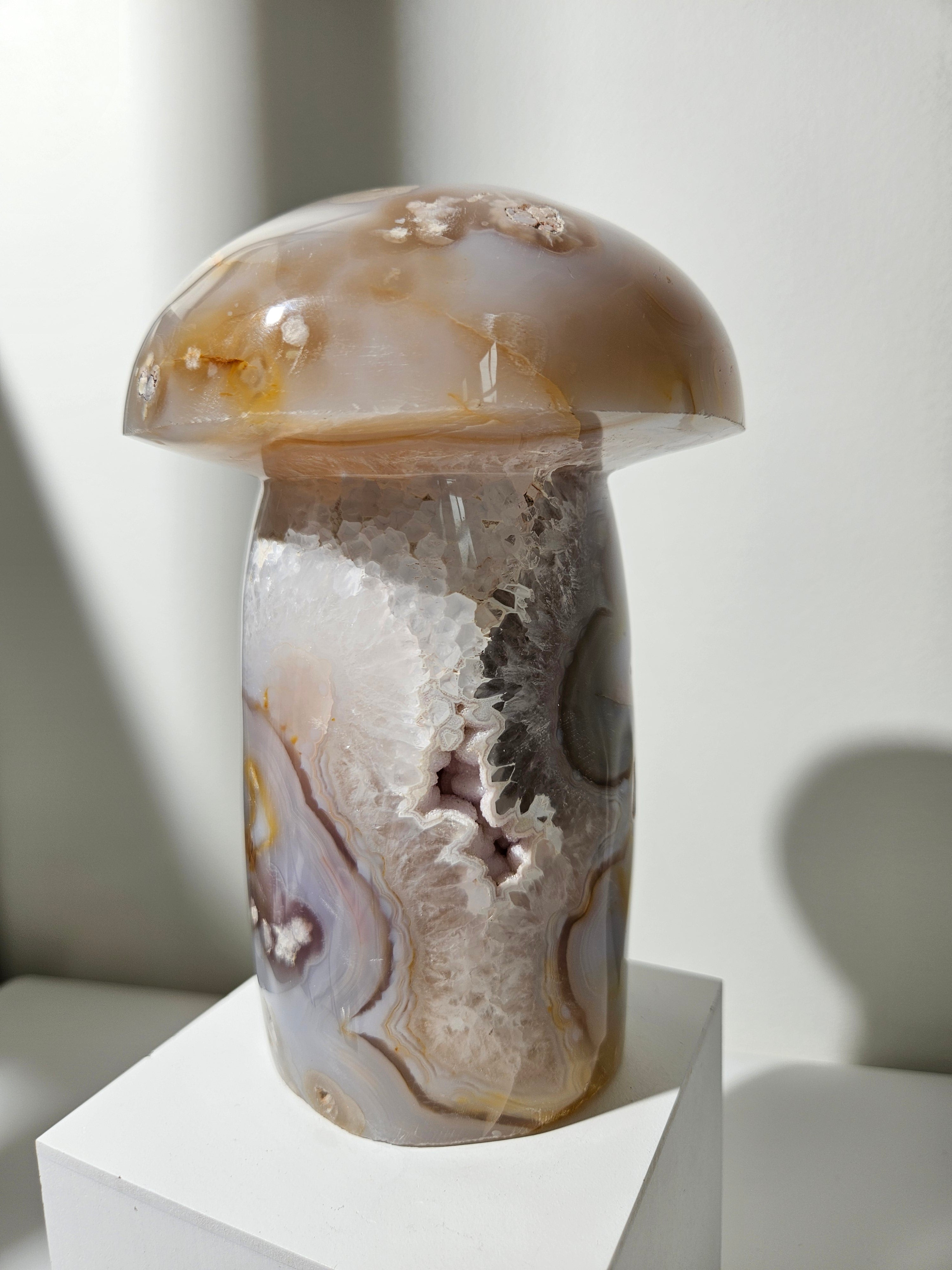 Flower Agate Mushroom 008