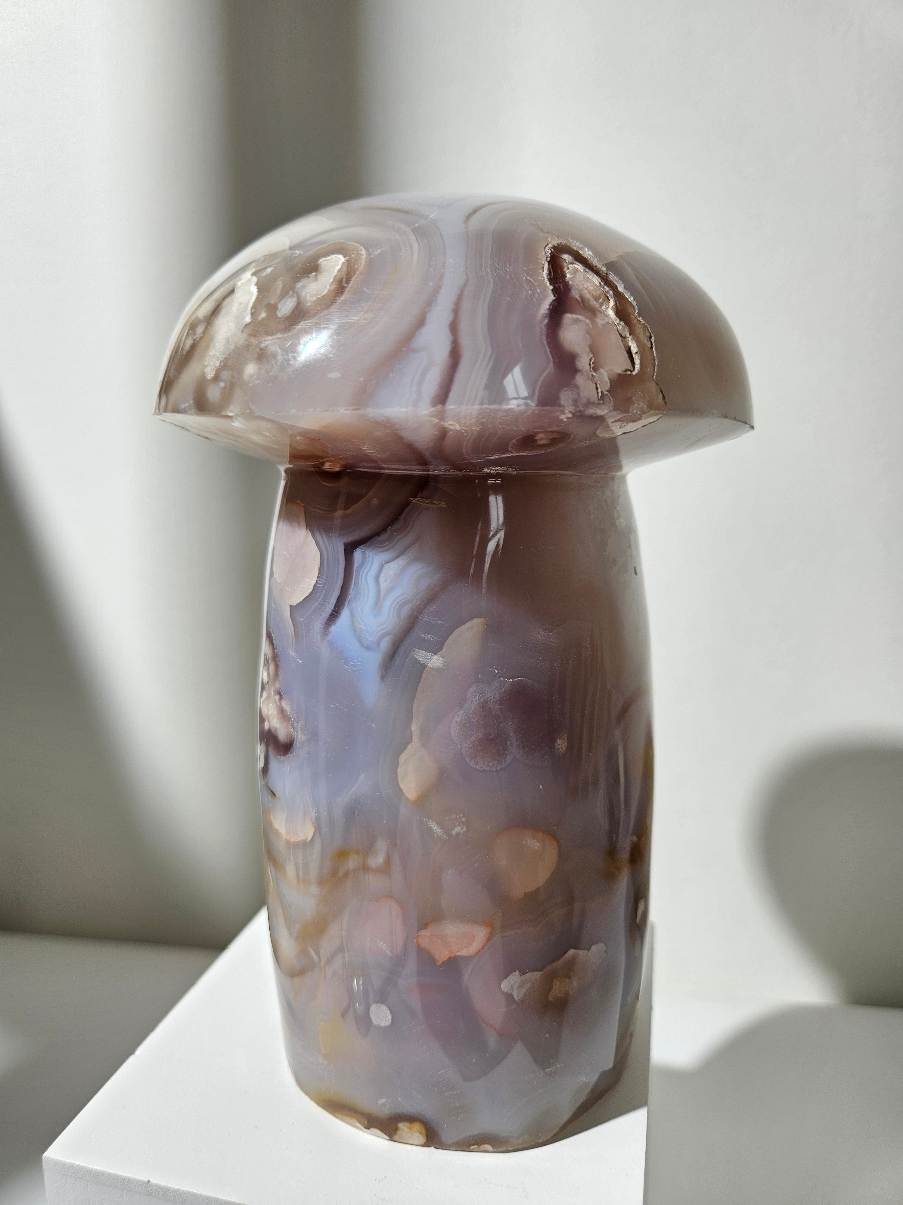Flower Agate Mushroom 008