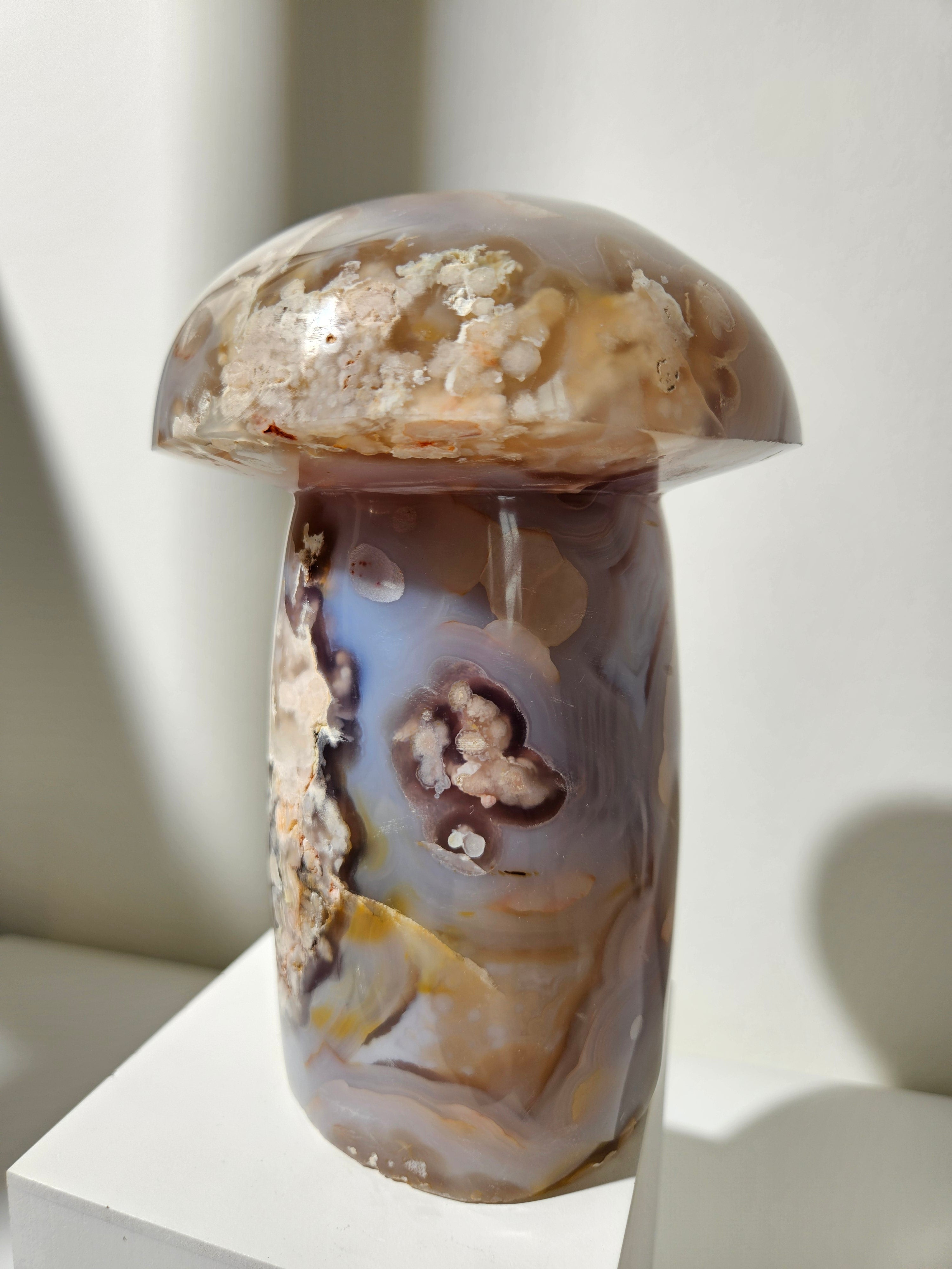 Flower Agate Mushroom 008