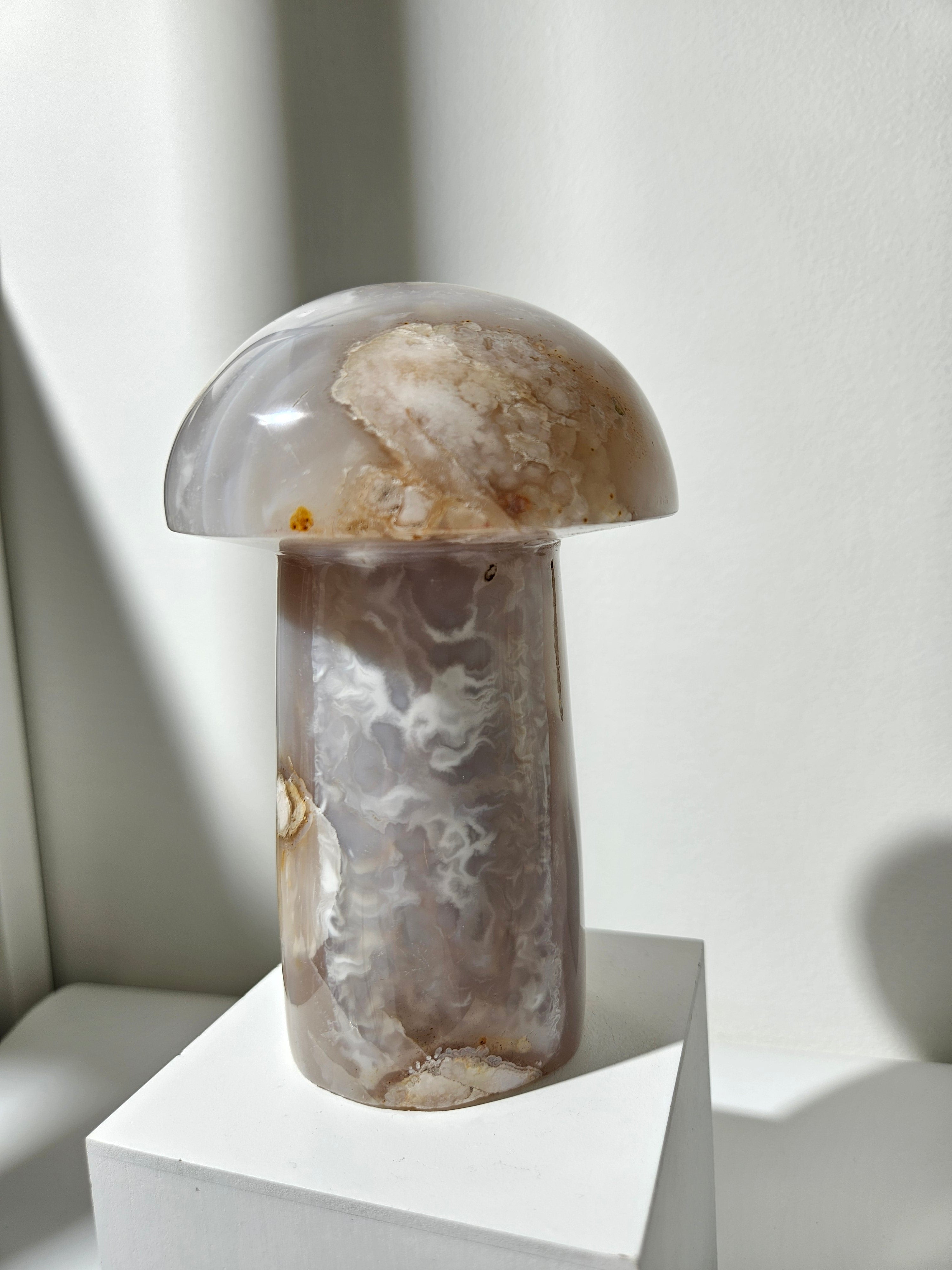 Flower Agate Mushroom 009
