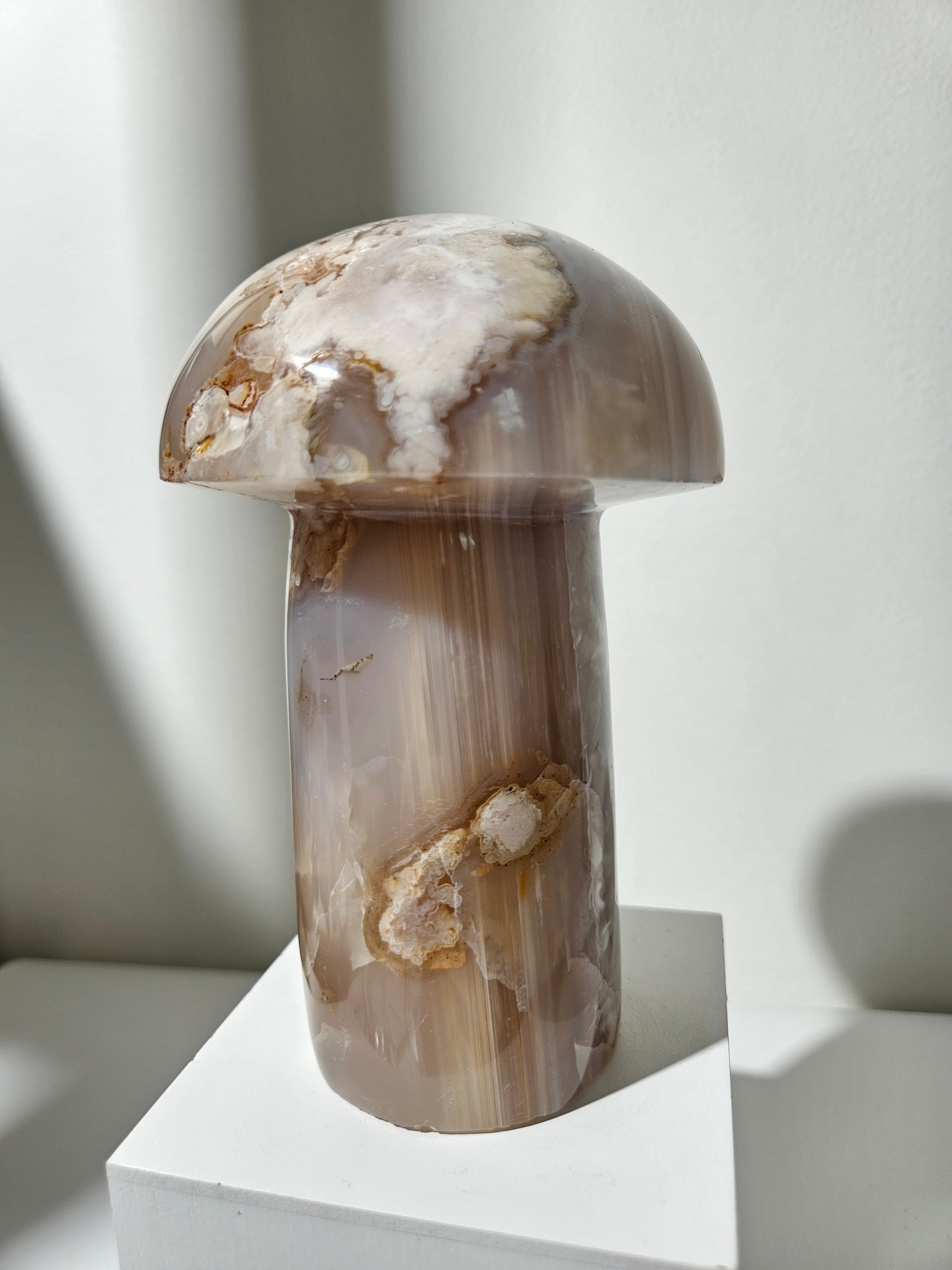 Flower Agate Mushroom 009