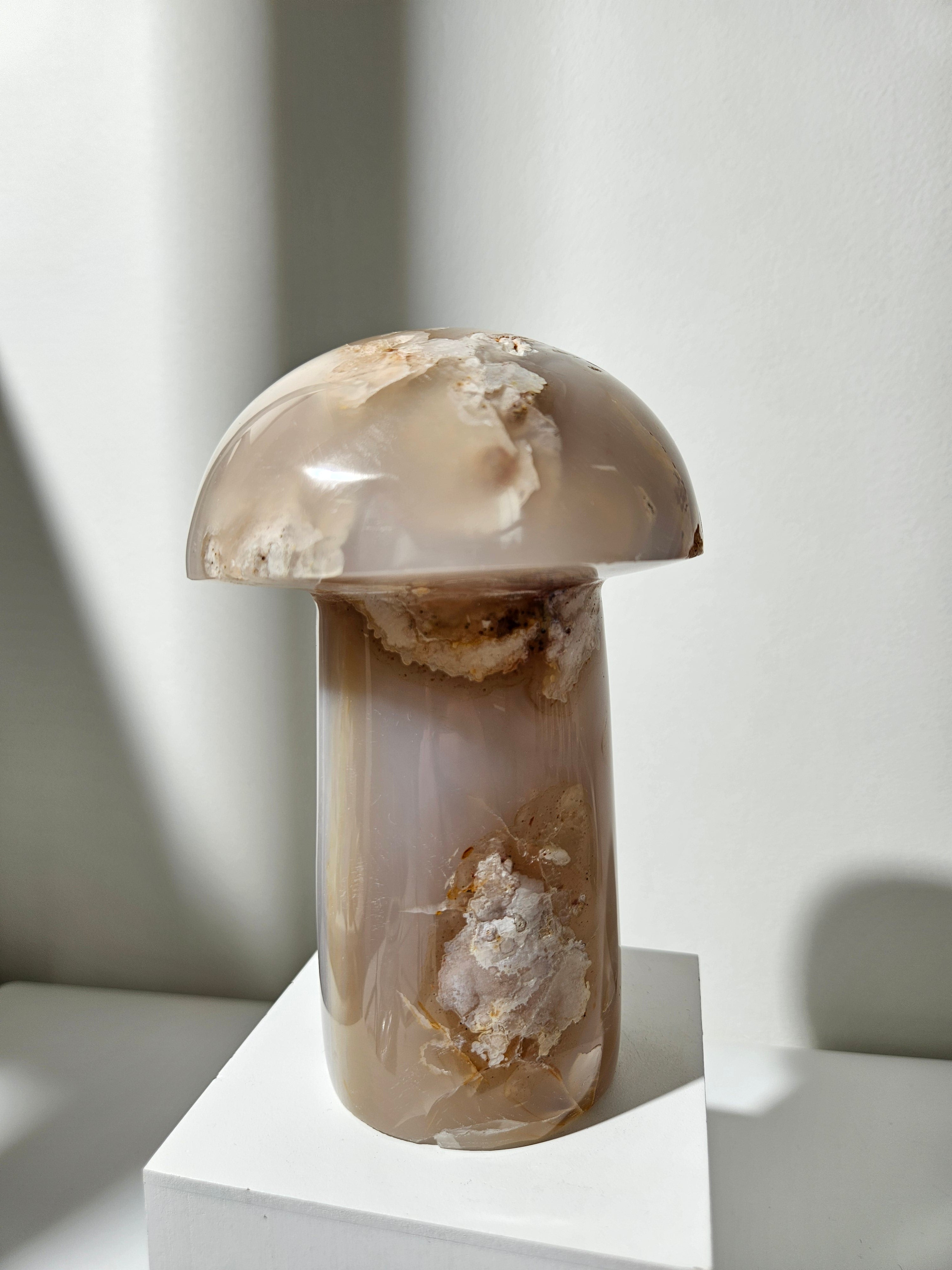 Flower Agate Mushroom 009