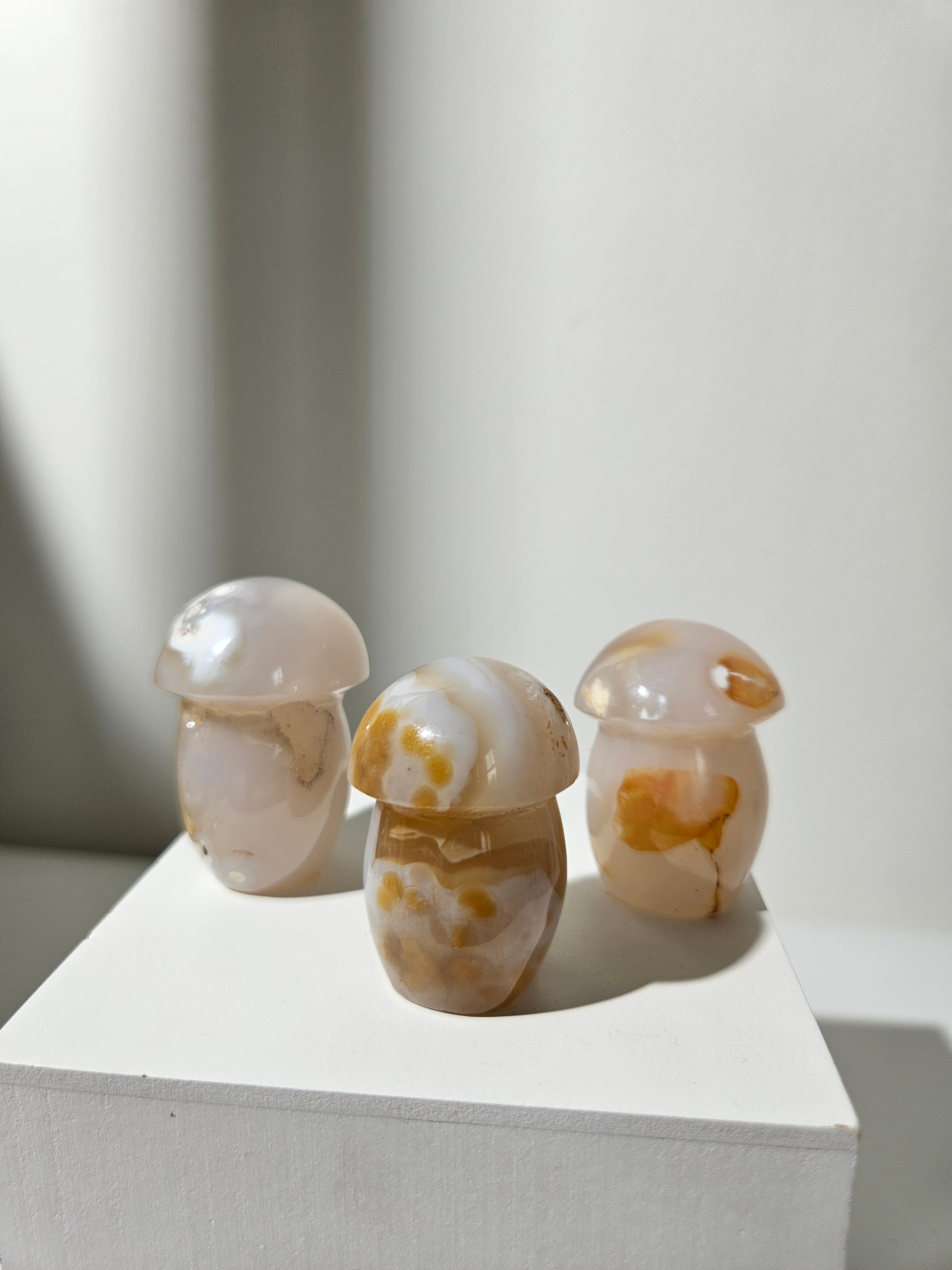 Agate Mushroom Set 001