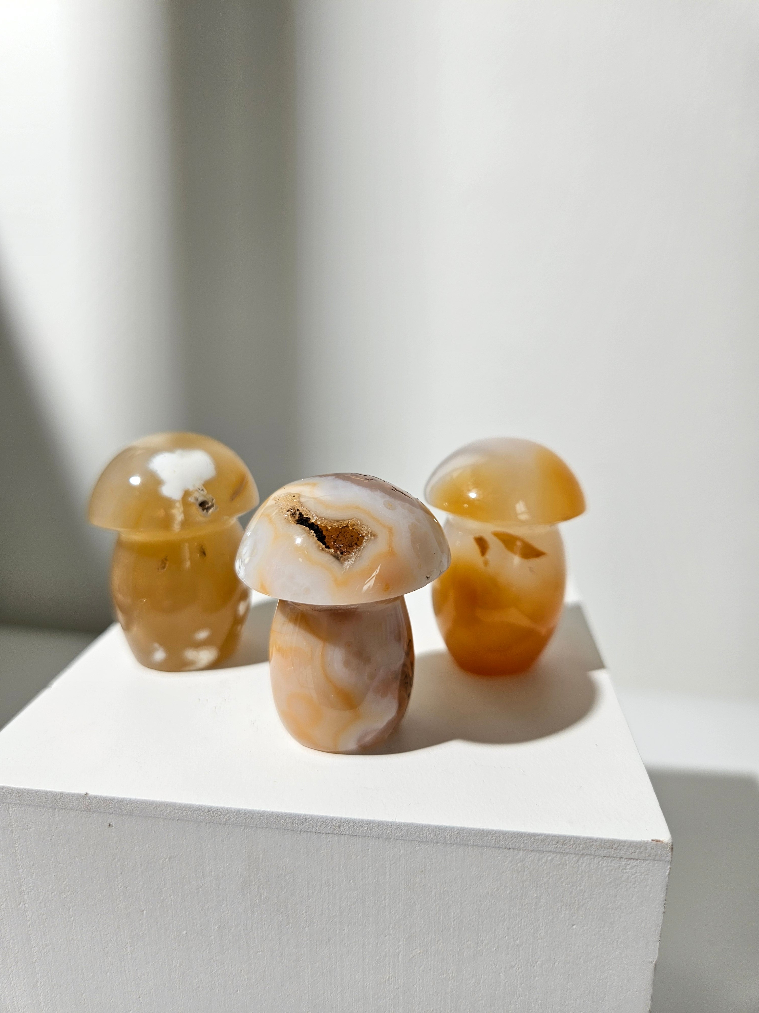 Agate Mushroom Set 005