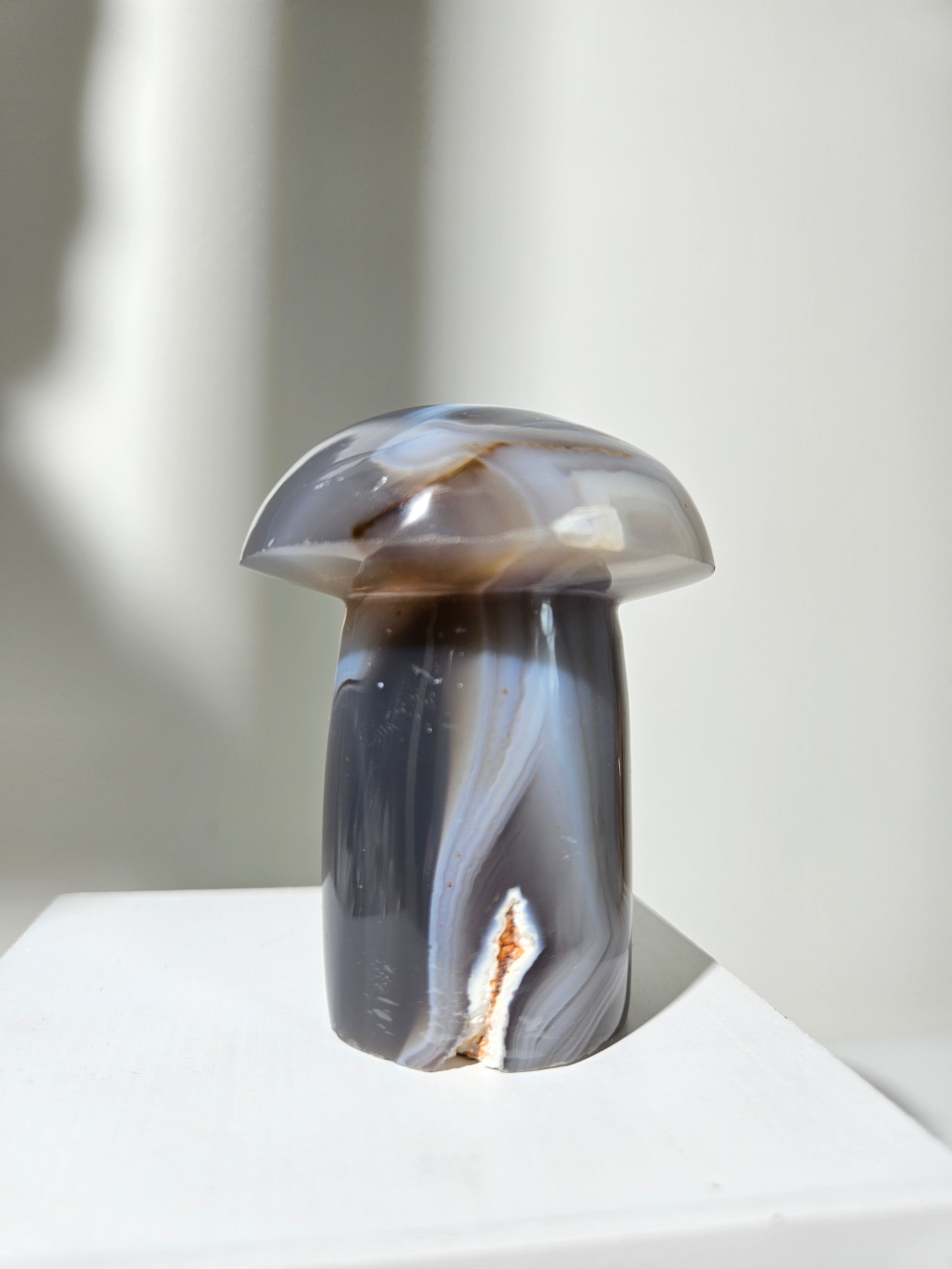 Orca Agate Mushroom 001