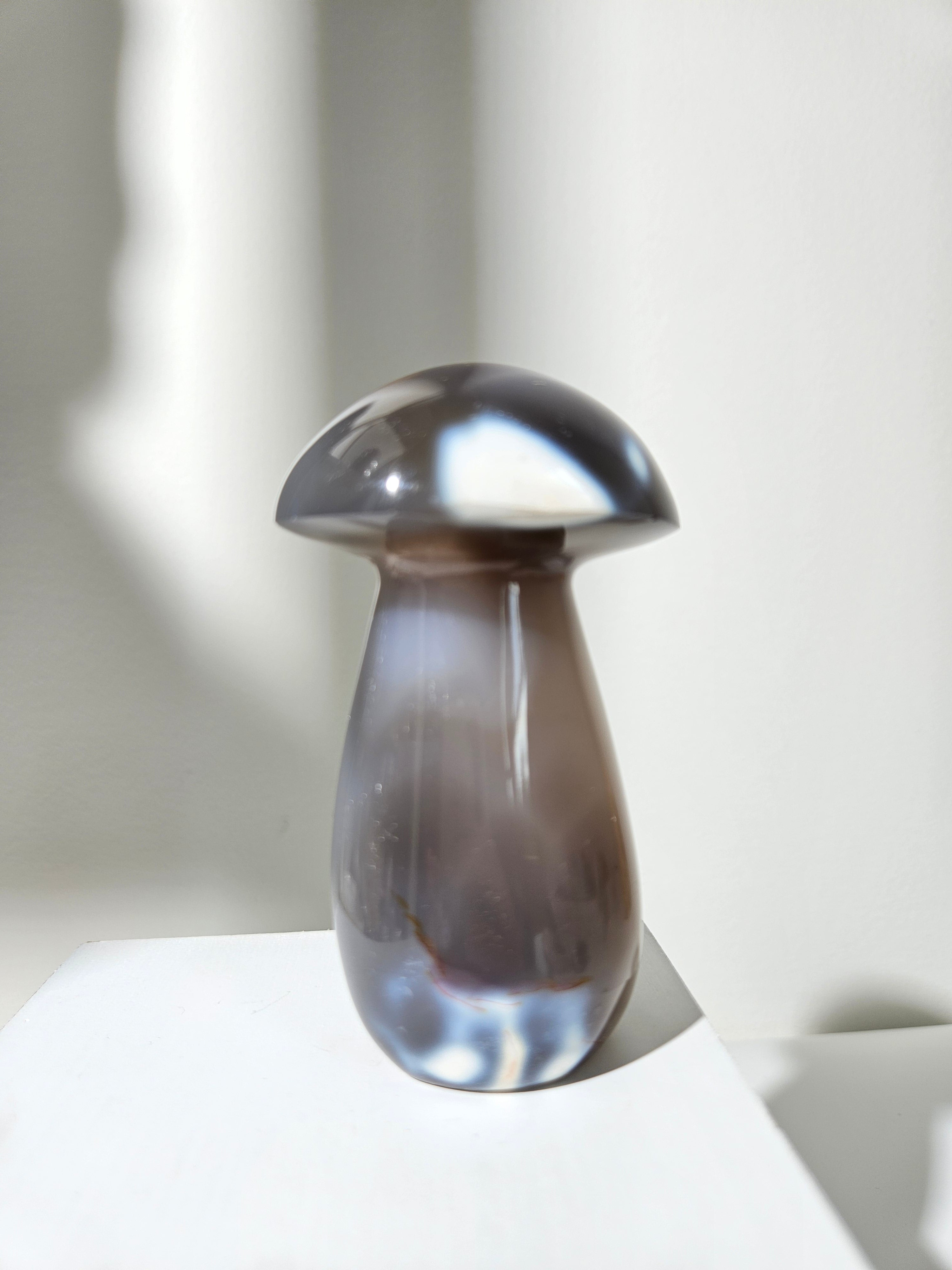 Orca Agate Mushroom 002