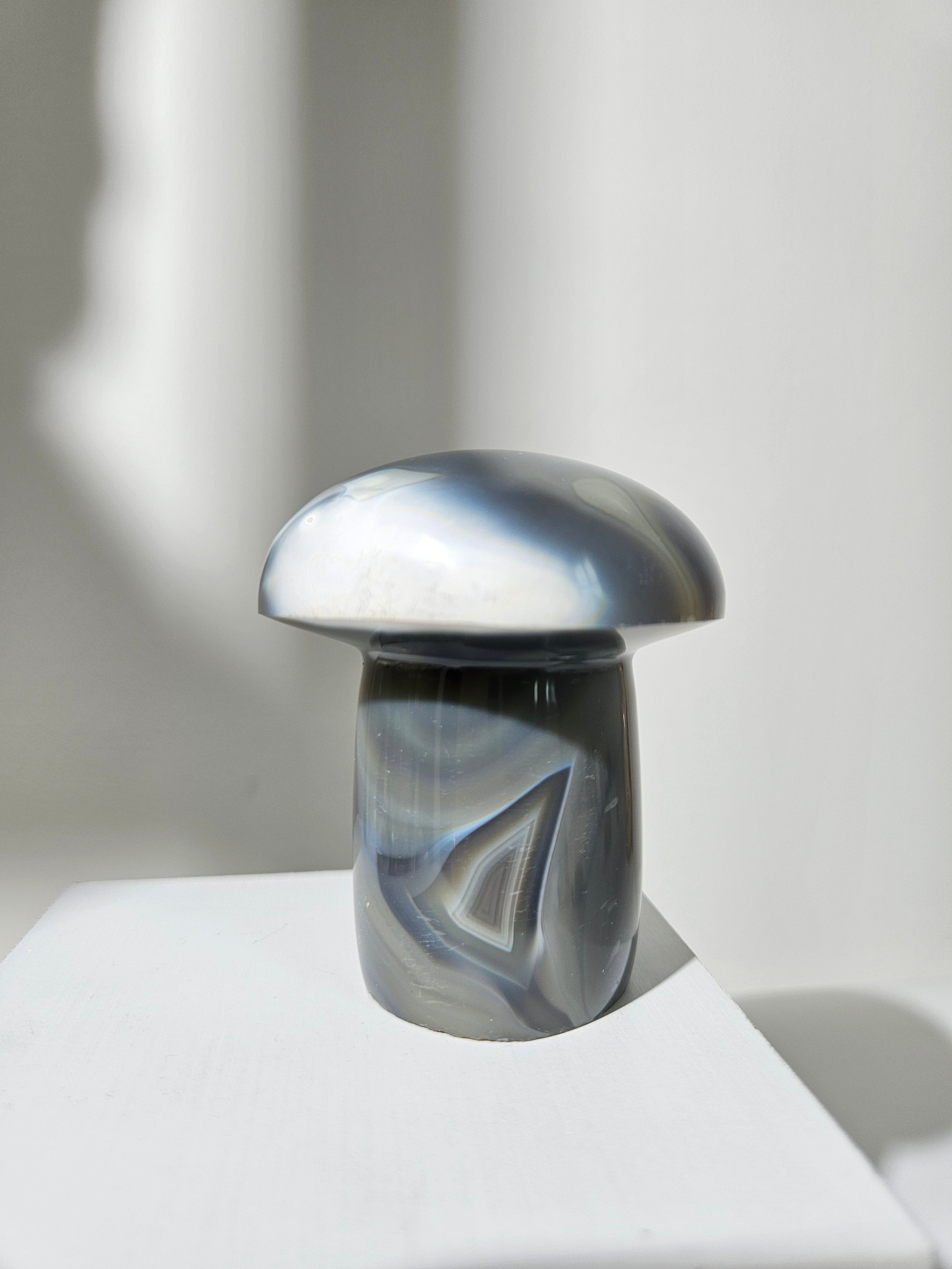 Orca Agate Mushroom 003