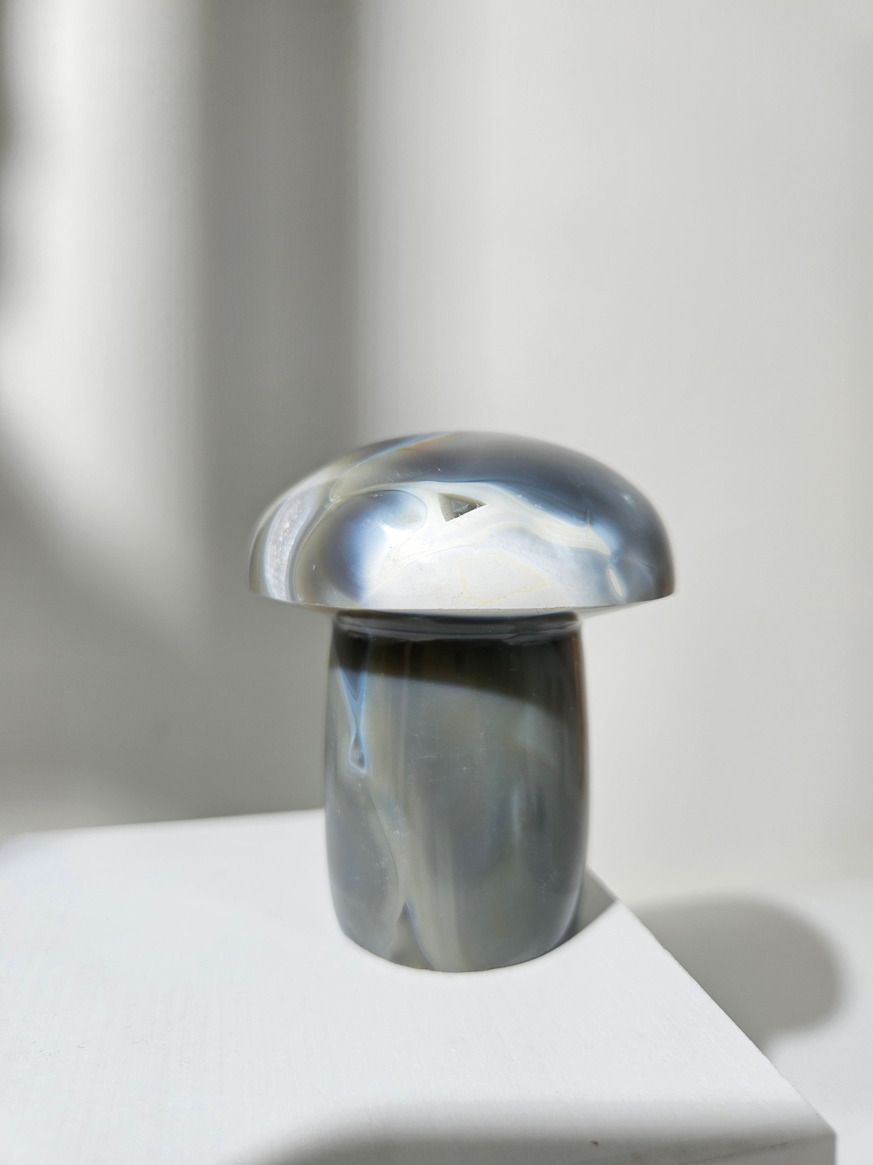 Orca Agate Mushroom 003