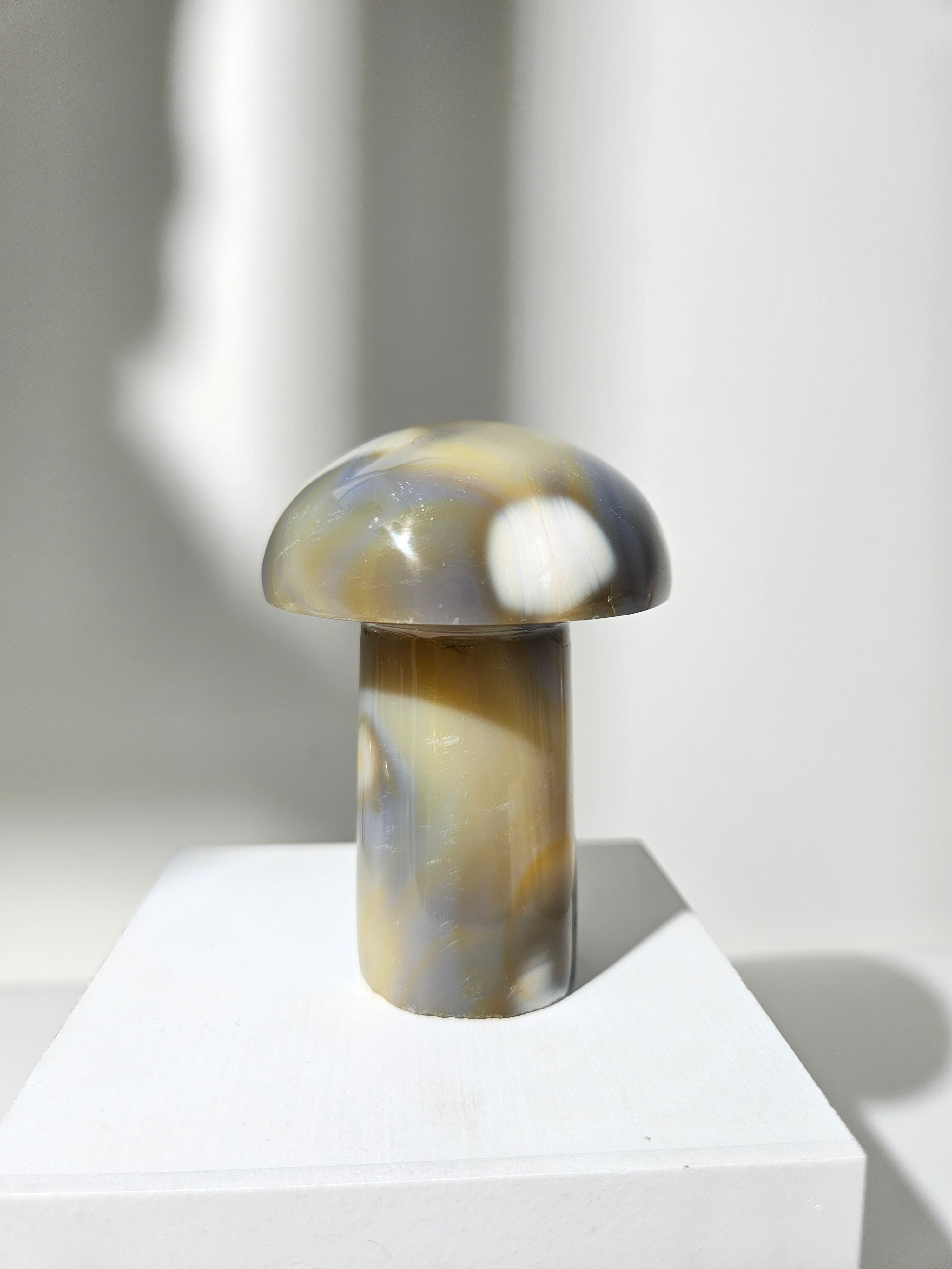 Orca Agate Mushroom 004