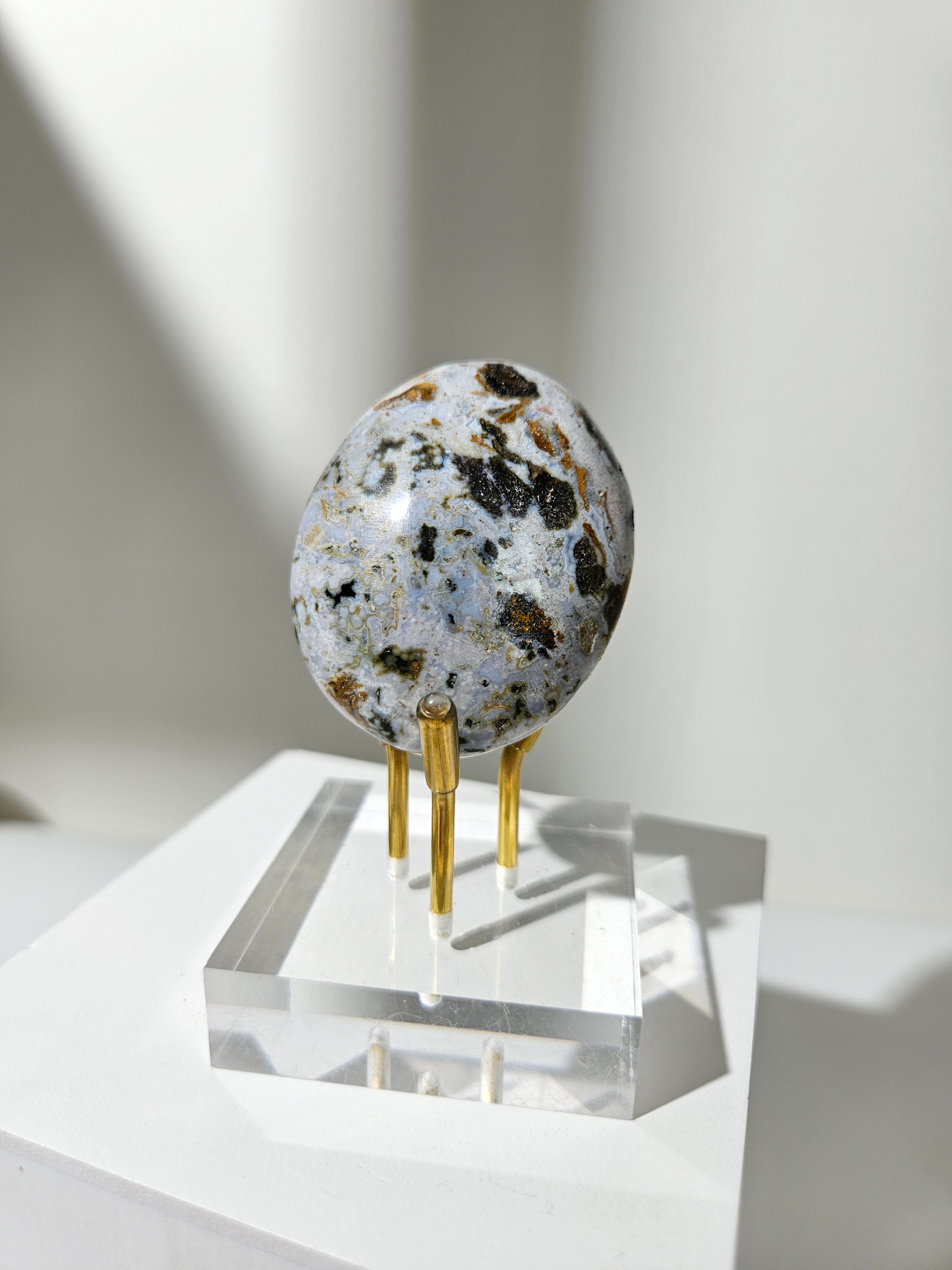 Sea Jasper Palmstone 016