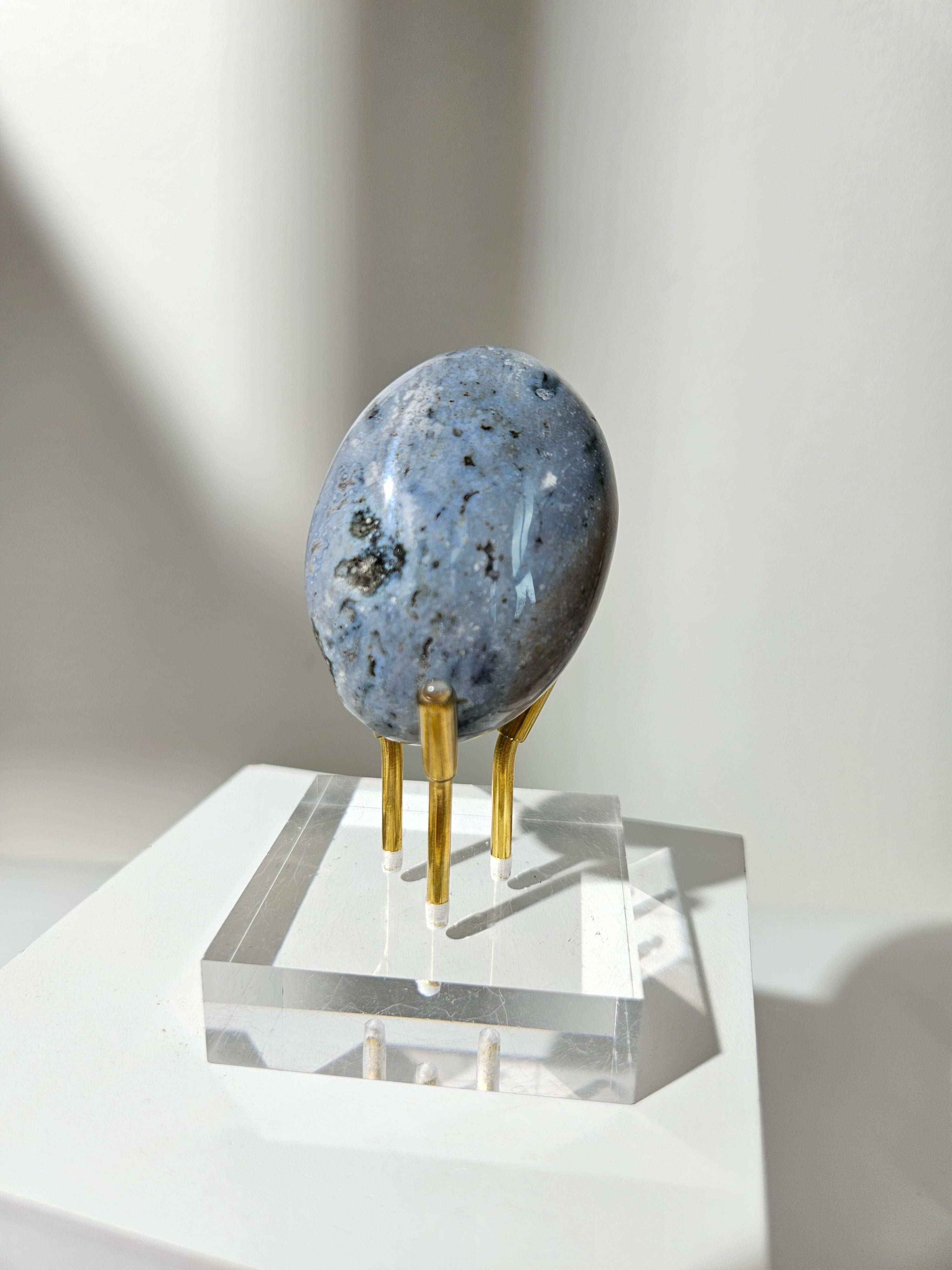 Sea Jasper Palmstone 017