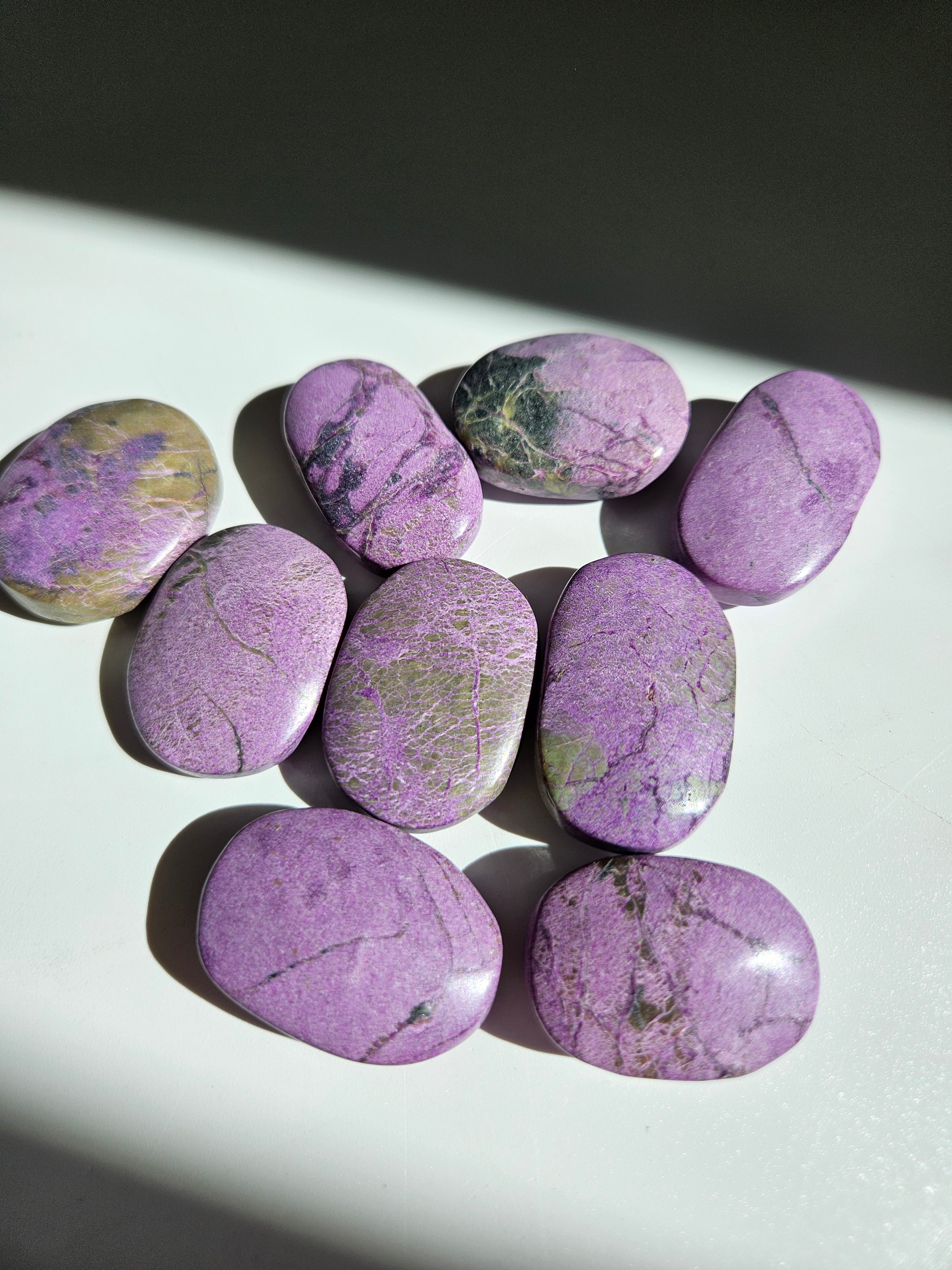 Stichtite Mini Palm