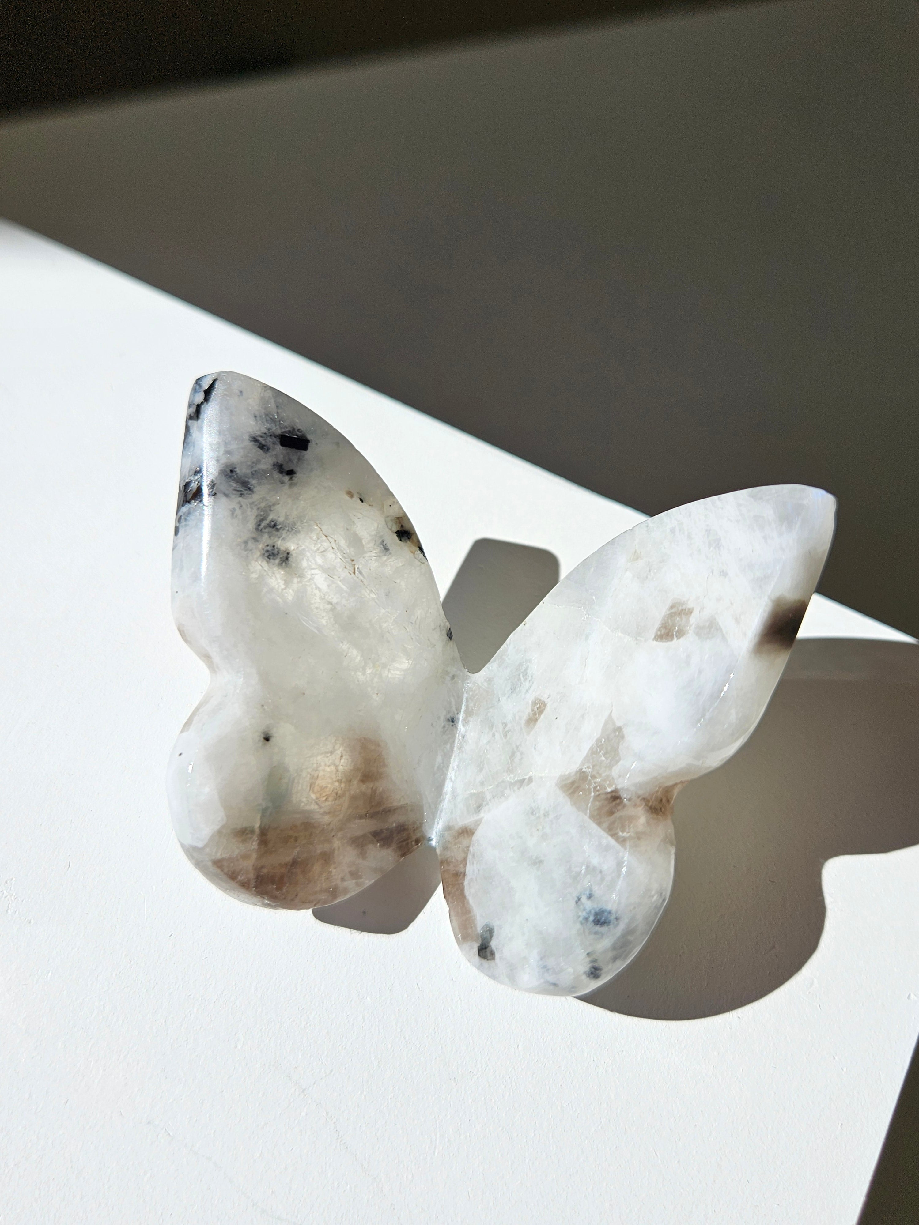 Moonstone Butterfly 001
